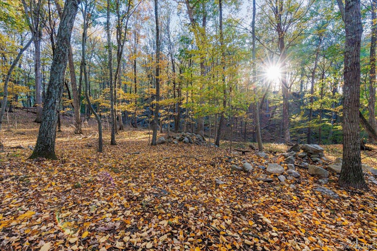 Single Family Whittier Hills  Westchester County, NY 10560, MLS-922018-45