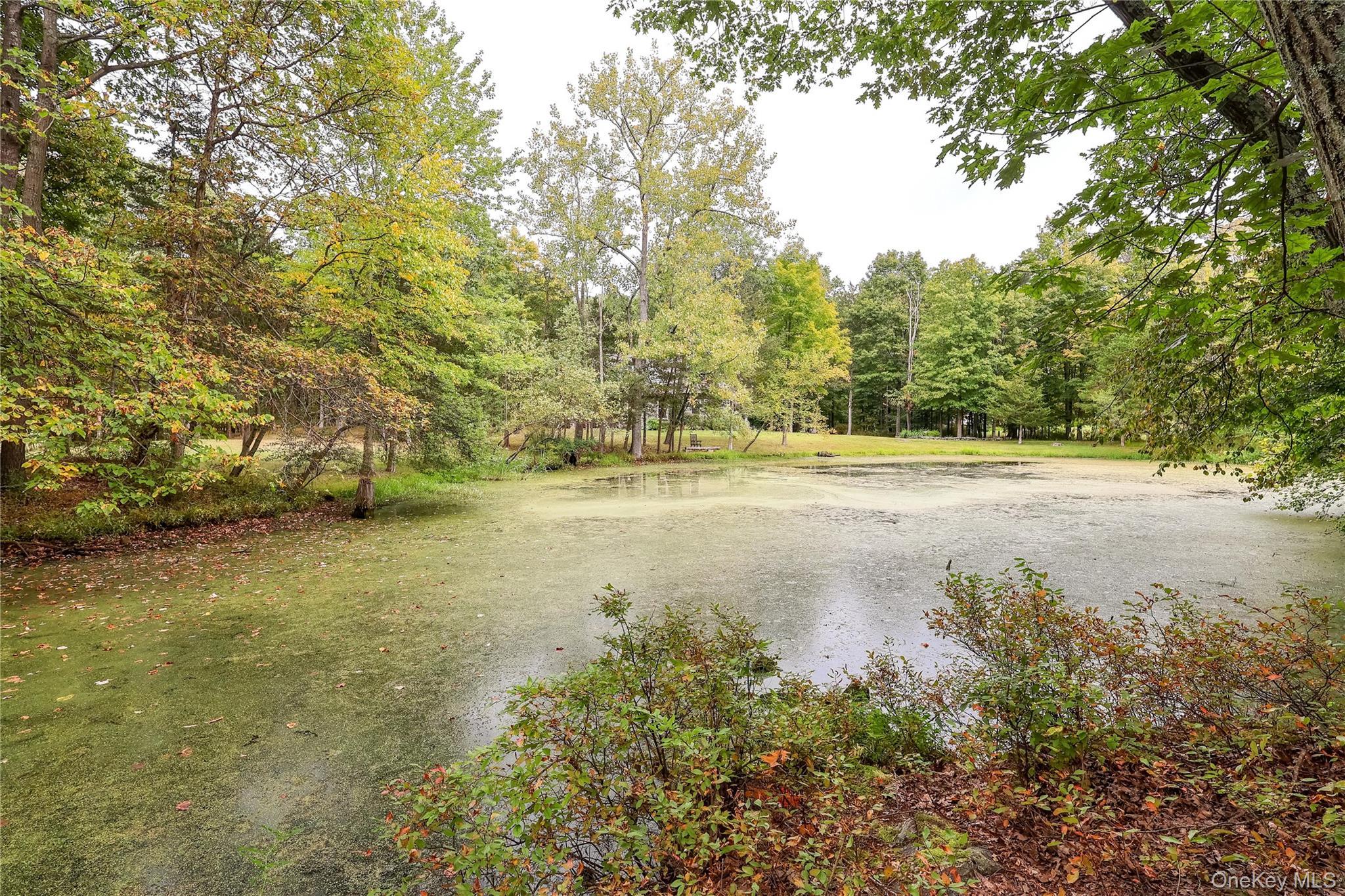 Single Family Jean  Orange County, NY 10950, MLS-922027-3