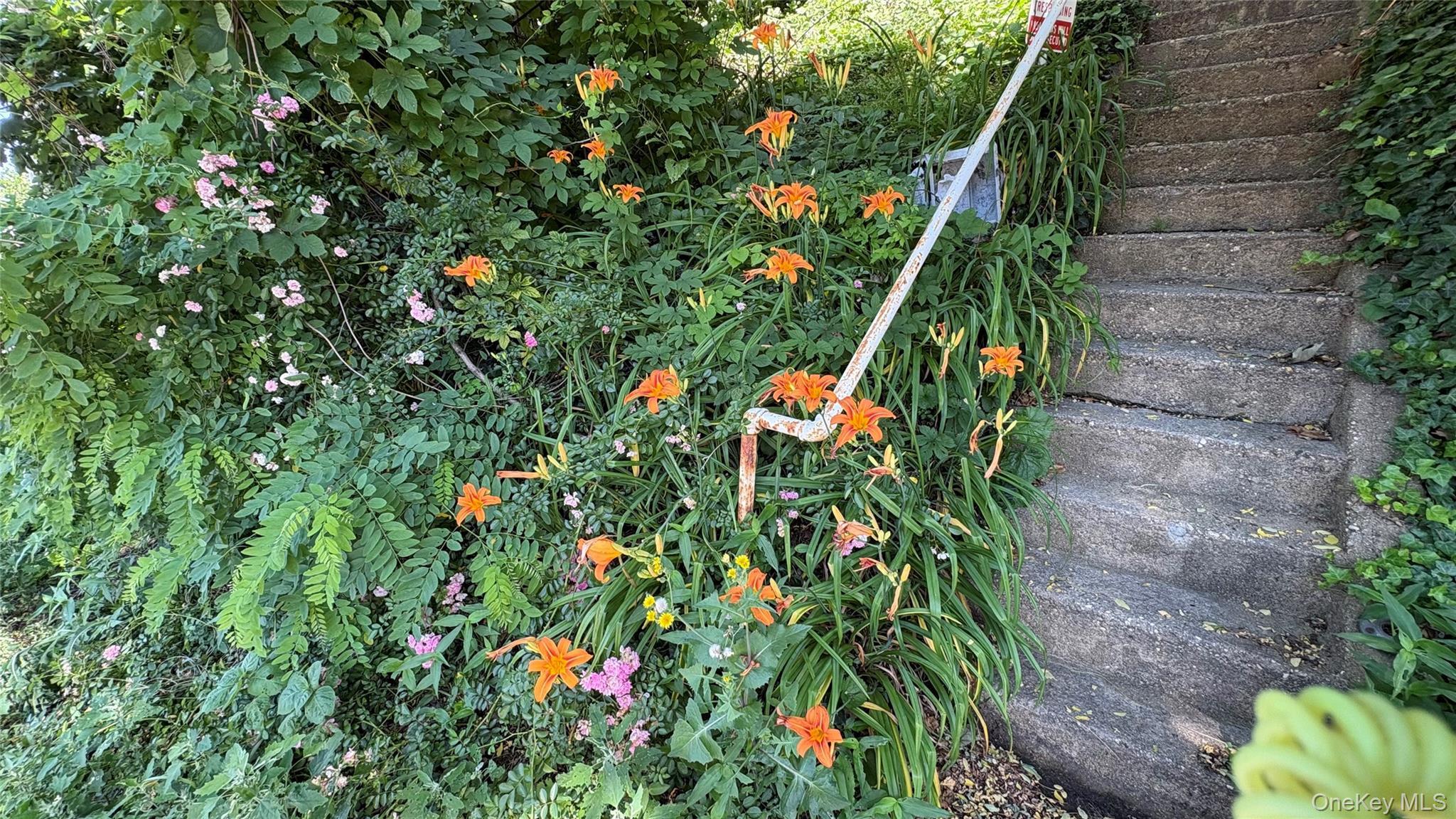 Single Family Northern Nassau County, NY 11576, MLS-922036-29