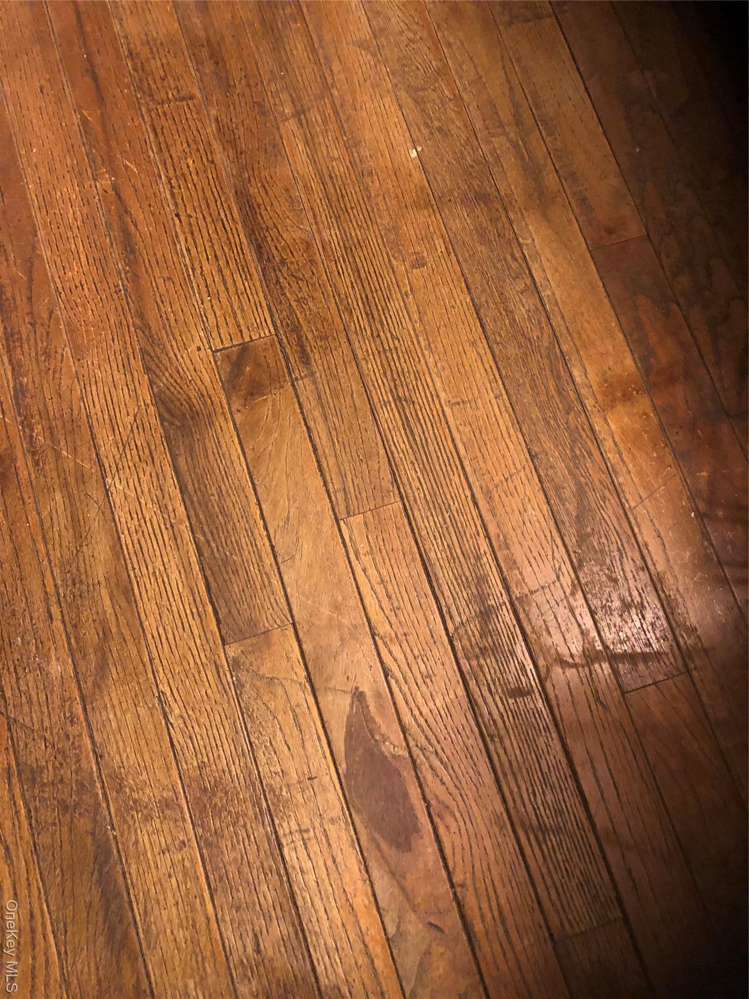 Single Family Northern Nassau County, NY 11576, MLS-922036-7