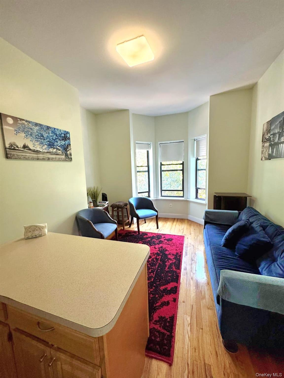 Single Family Putnam Brooklyn, NY 11221, MLS-922093-8