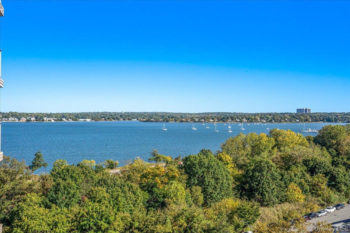 Coop 215th  Queens, NY 11360, MLS-922106-14