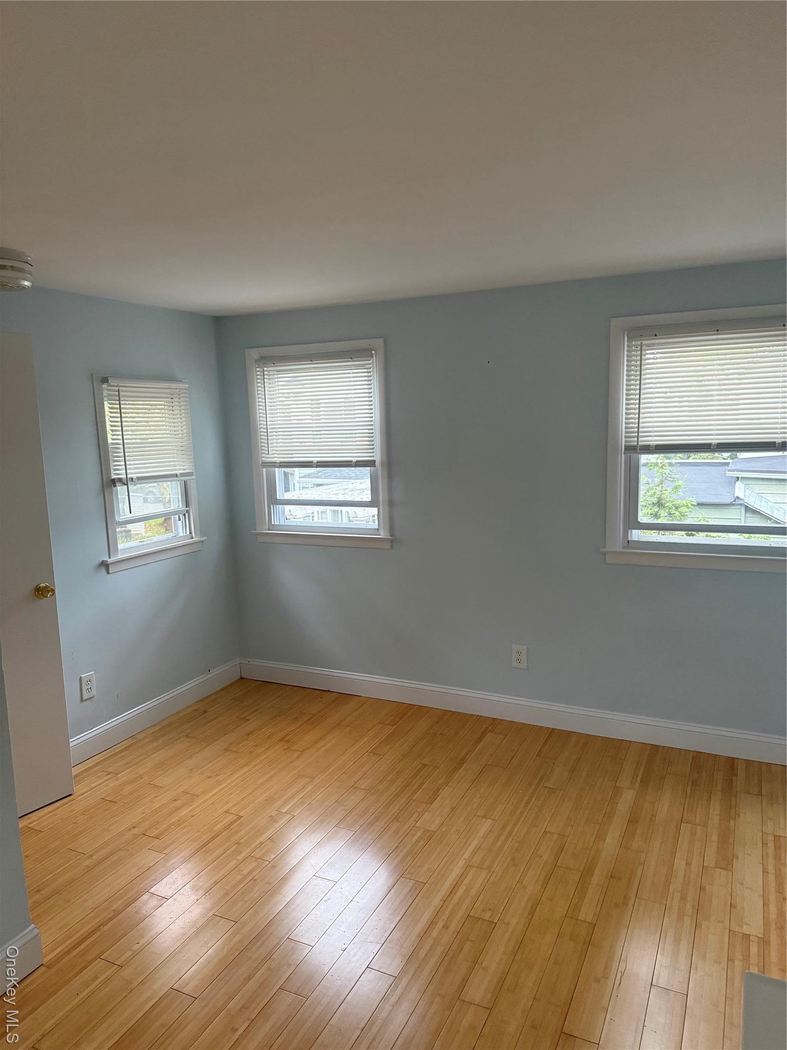 Single Family Brown  Nassau County, NY 11579, MLS-922177-5