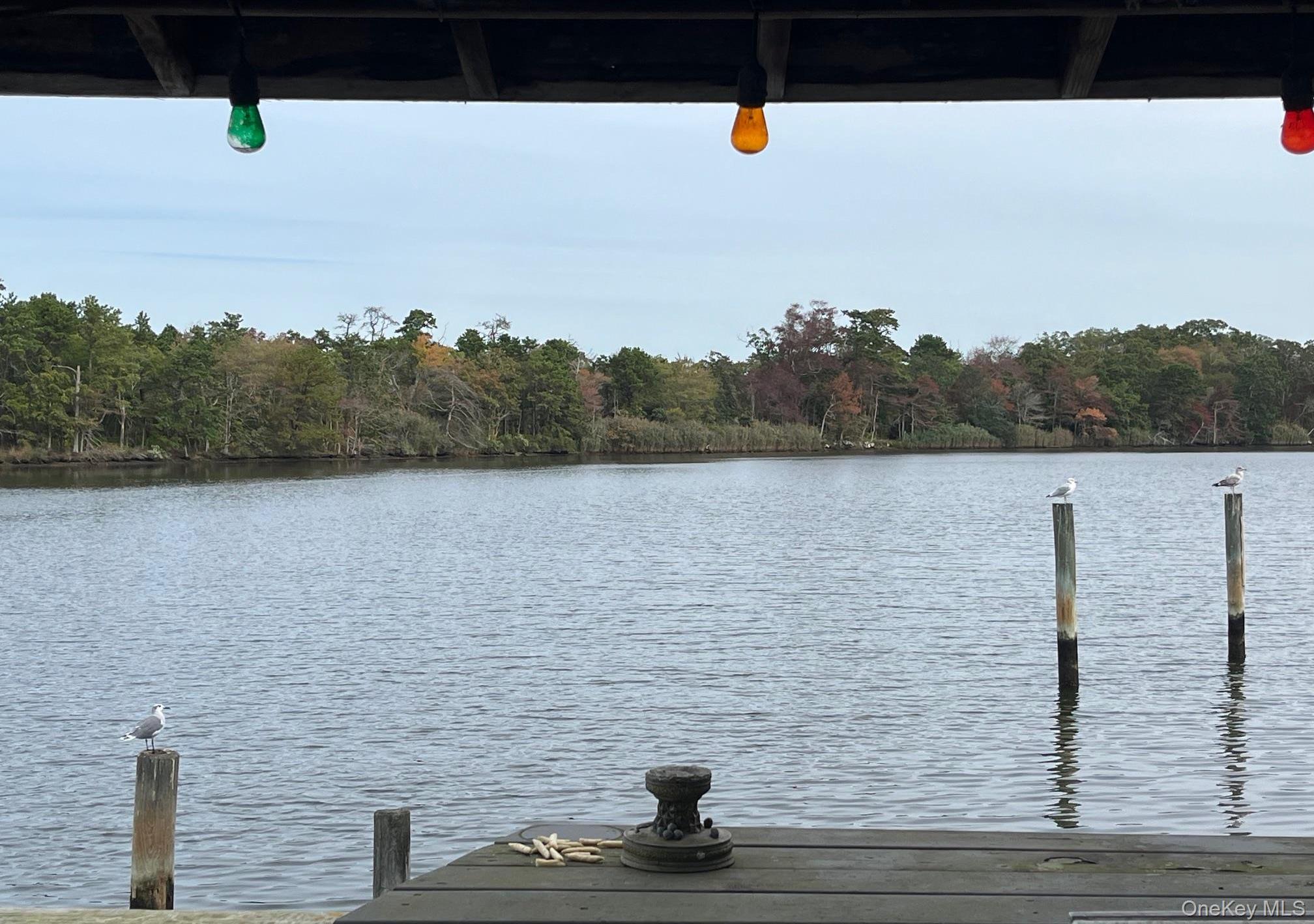 Single Family Connetquot  Suffolk County, NY 11769, MLS-922186-29