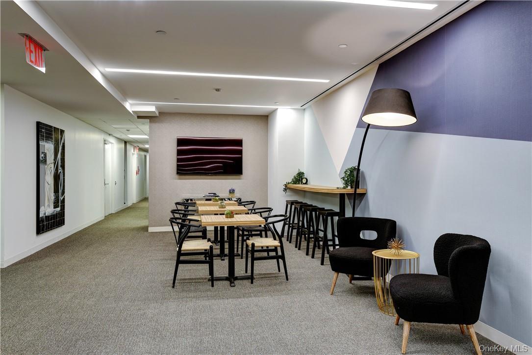 Commercial Lease 42  Manhattan, NY 10168, MLS-922228-3