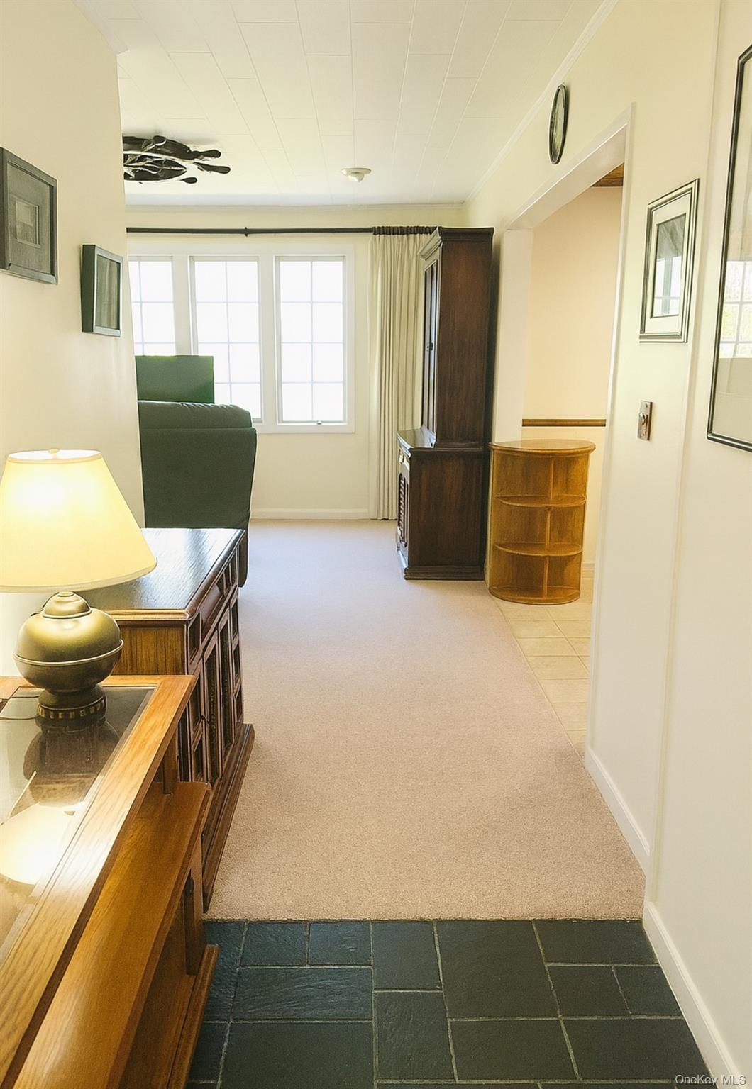 Single Family Rt-82  Dutchess County, NY 12578, MLS-922250-29