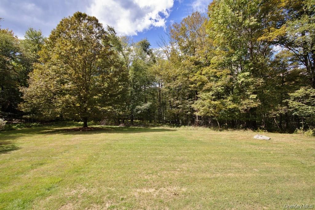 Single Family Airport  Sullivan County, NY 12762, MLS-922274-6