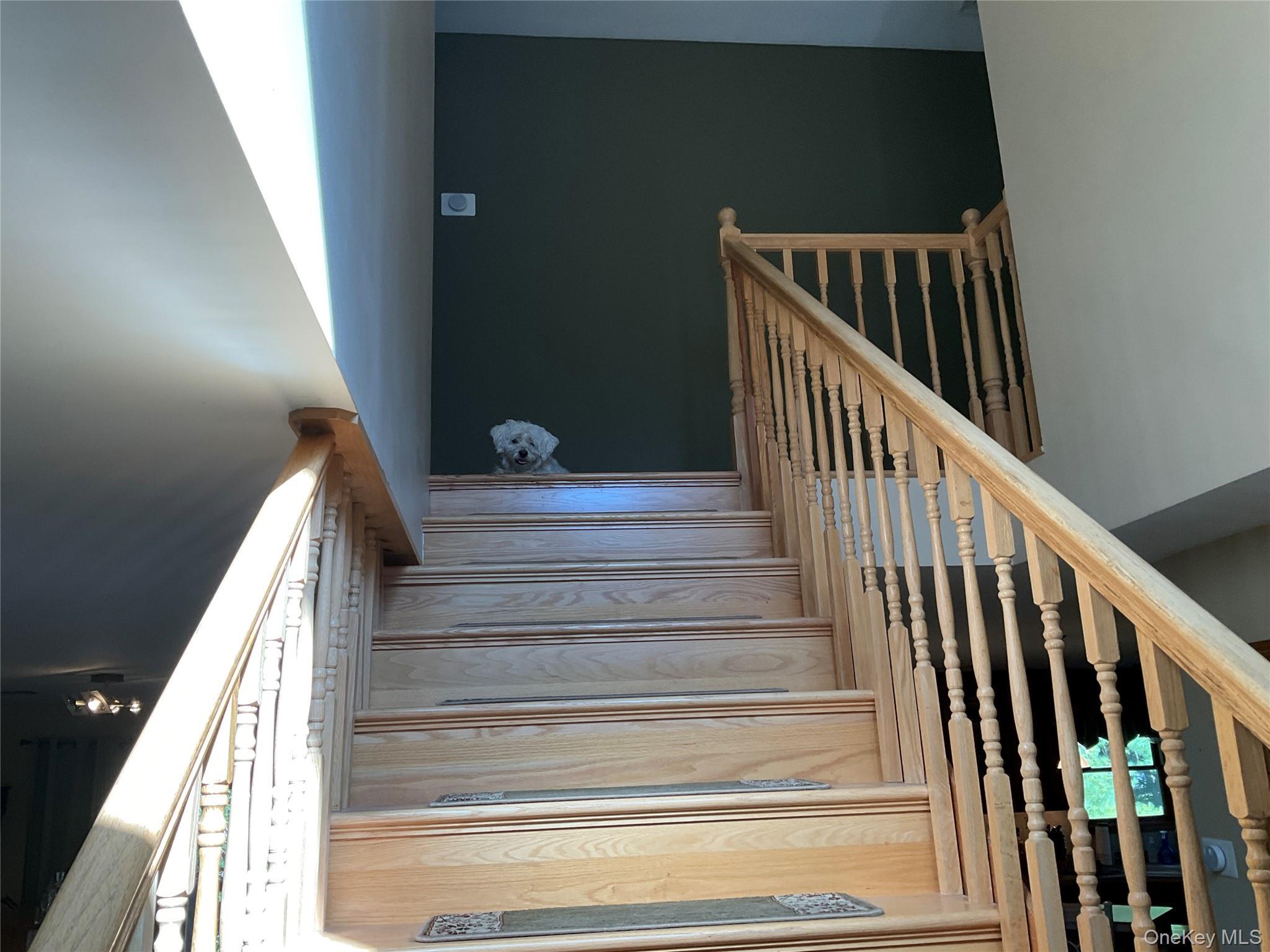 Single Family Meadow Court Out Of Area, NY 18337, MLS-922298-20