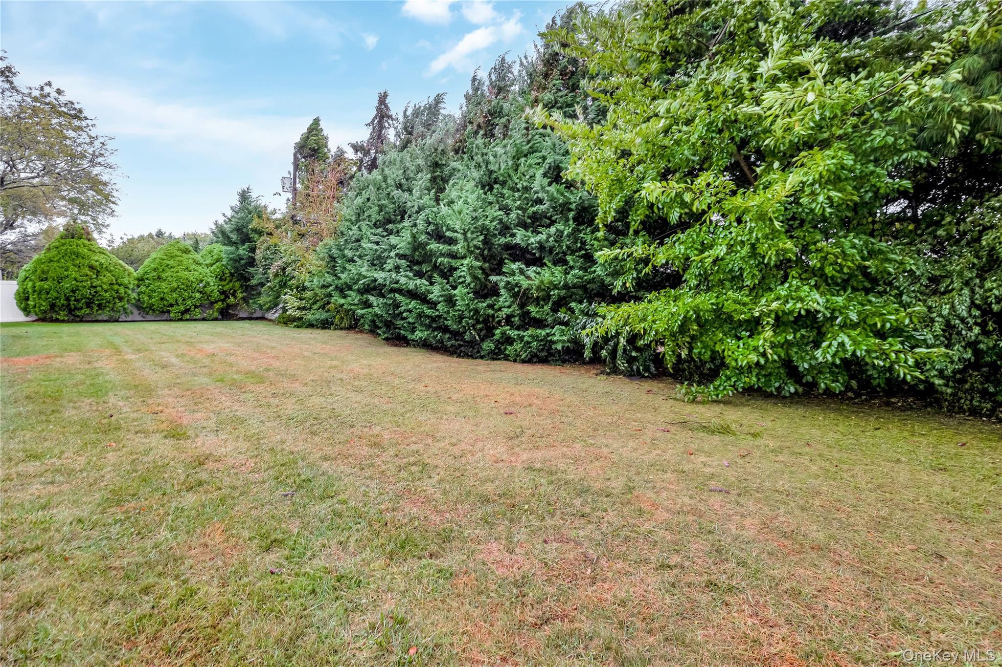 Single Family Mansfield  Nassau County, NY 11762, MLS-922354-5