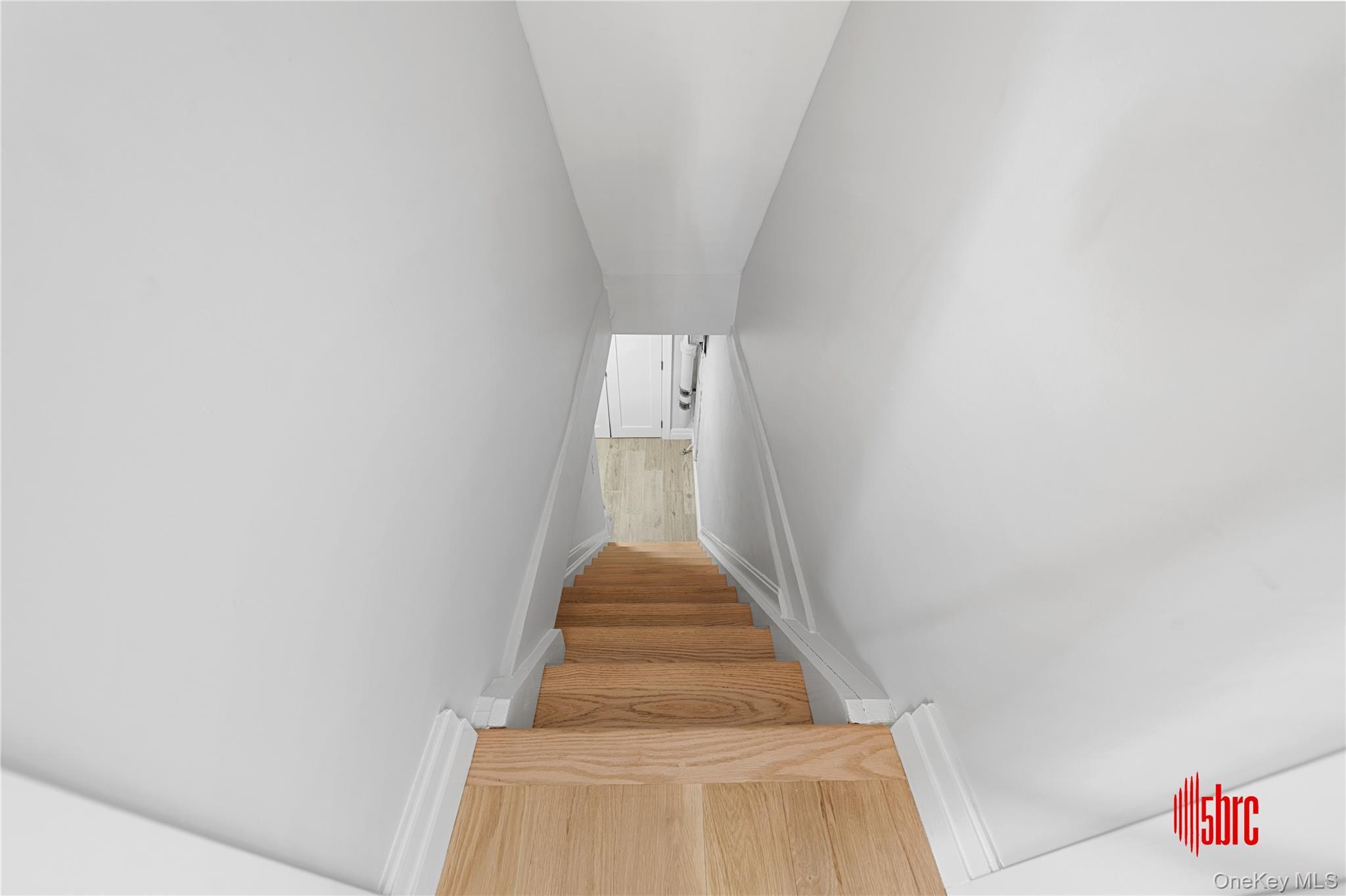 Single Family E 92nd Street Brooklyn, NY 11236, MLS-922370-25