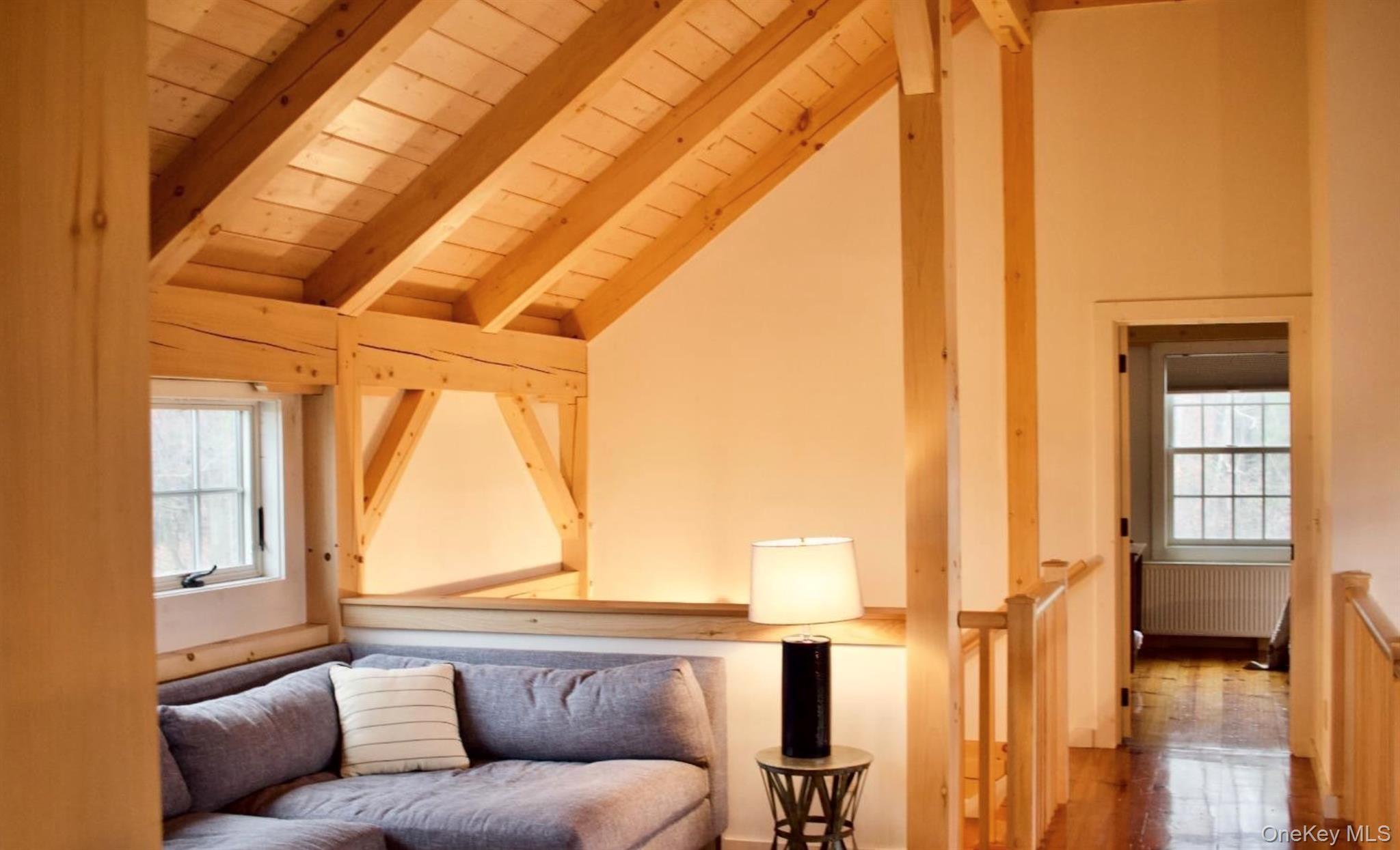 Single Family Raccoon Forks Columbia County, NY 12136, MLS-922415-16