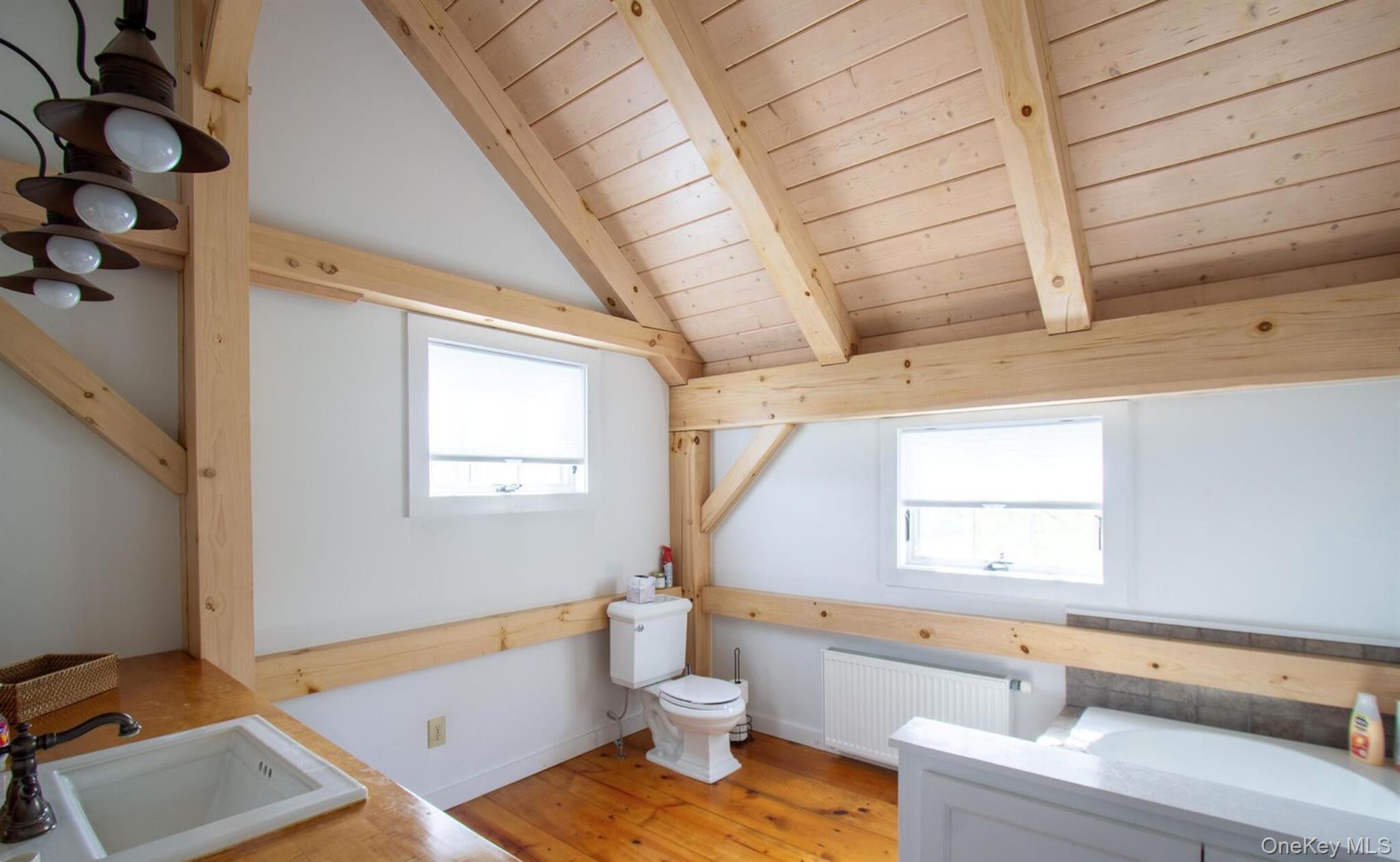 Single Family Raccoon Forks Columbia County, NY 12136, MLS-922415-18