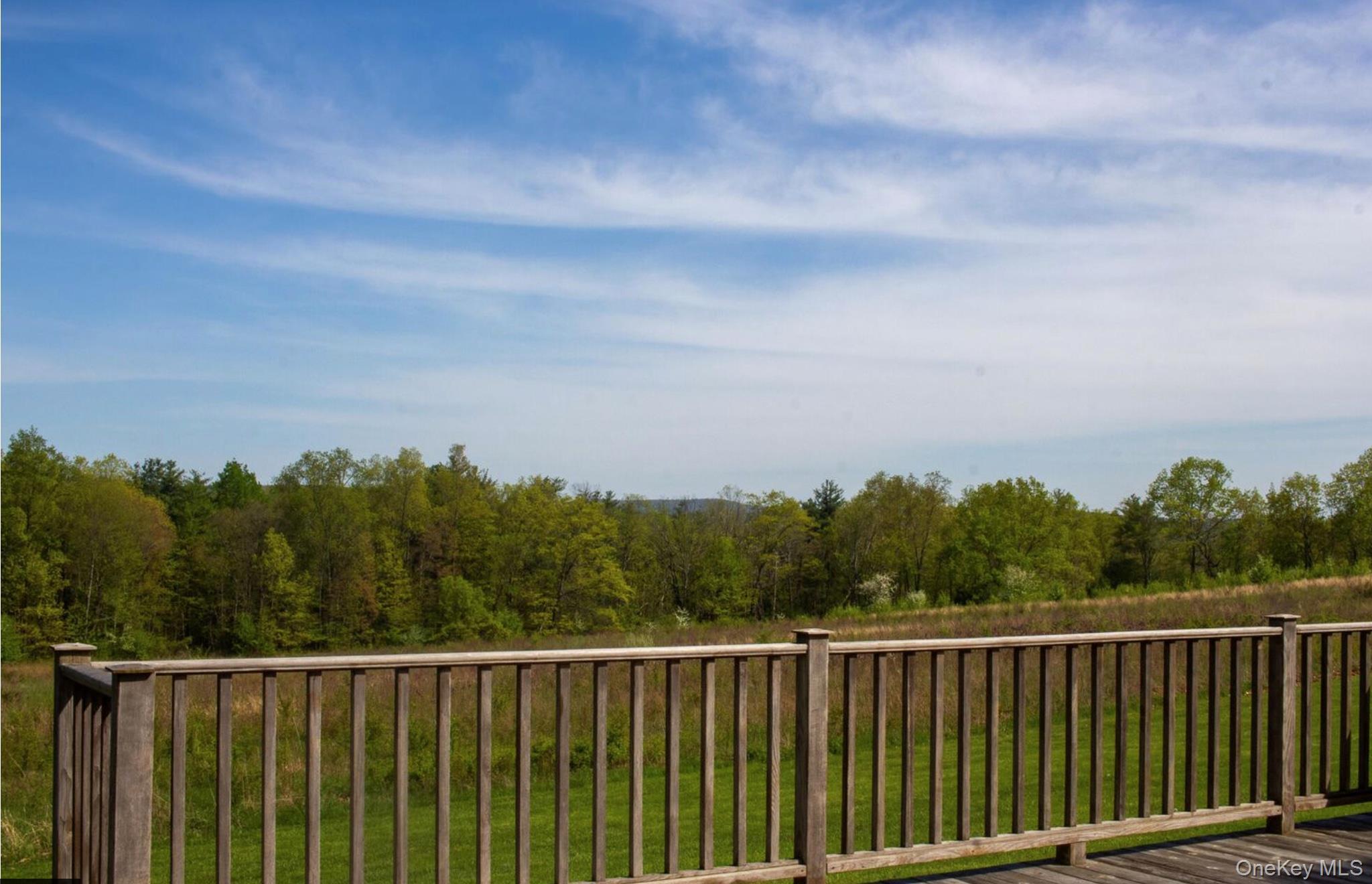 Single Family Raccoon Forks Columbia County, NY 12136, MLS-922415-4