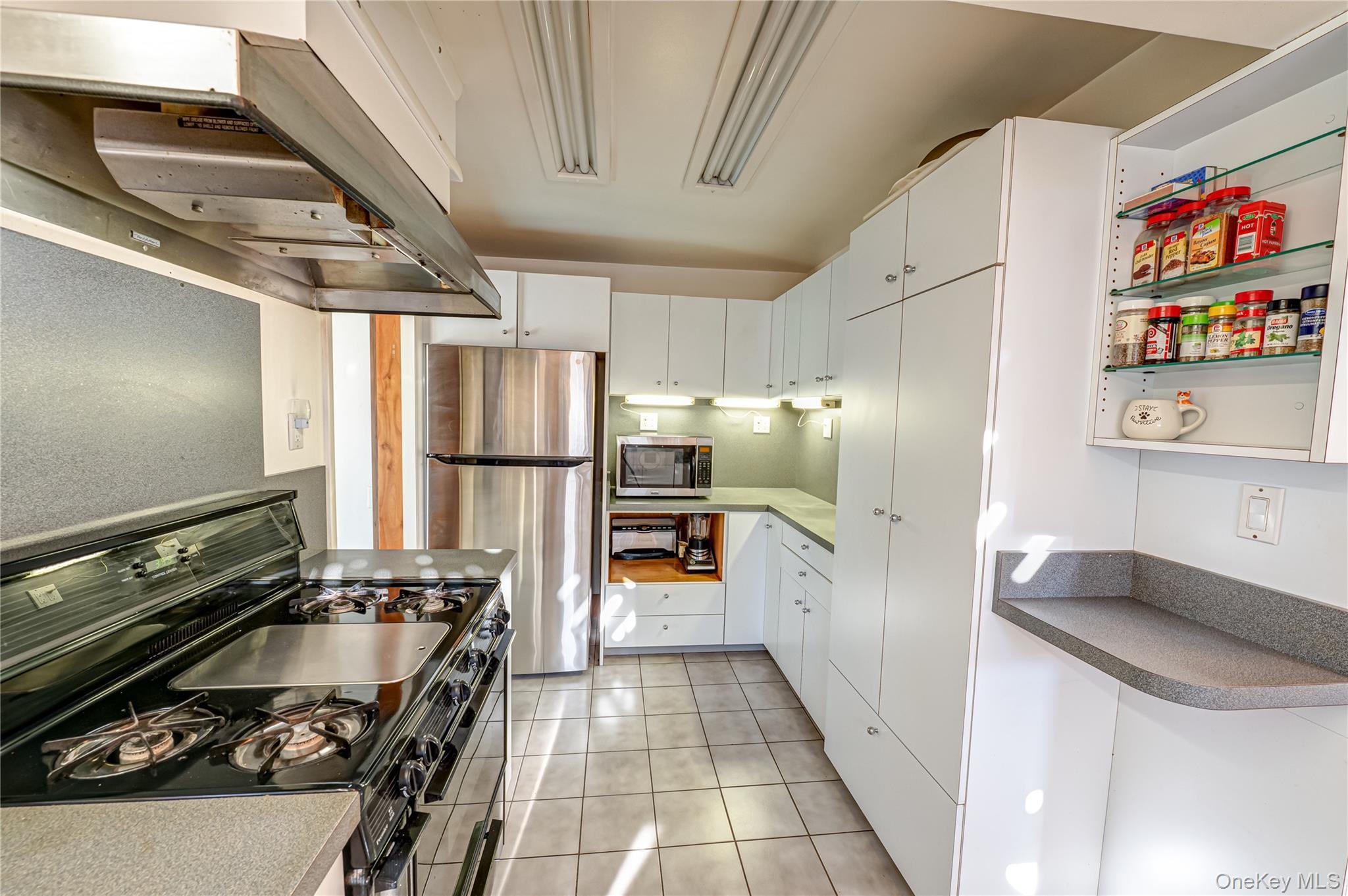 Single Family Evergreen  Suffolk County, NY 11788, MLS-922423-17