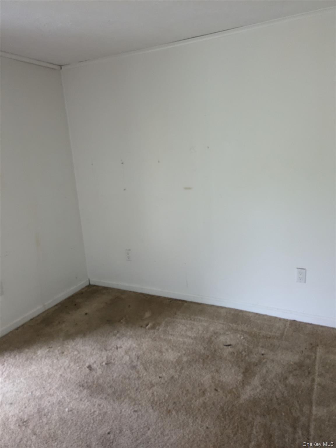 Single Family Chelsea  Dutchess County, NY 12533, MLS-922429-21