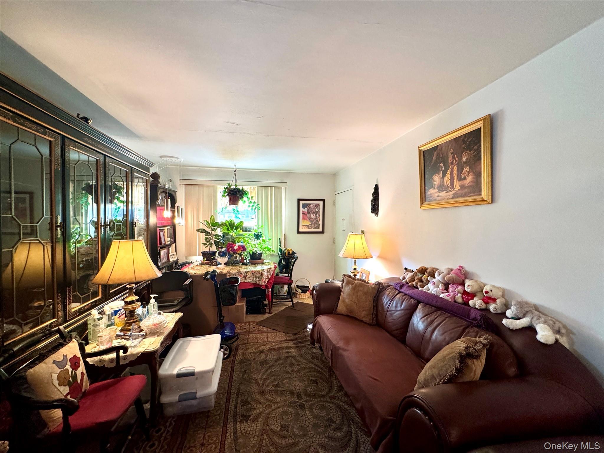 Coop Manor  Queens, NY 11427, MLS-922495-4