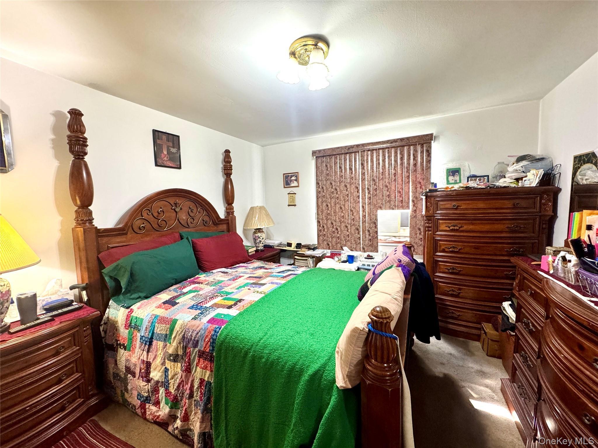 Coop Manor  Queens, NY 11427, MLS-922495-9