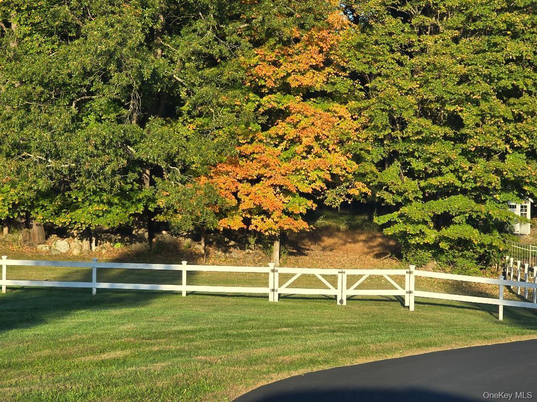 Single Family Dorchester Drive  Westchester County, NY 10598, MLS-922505-2