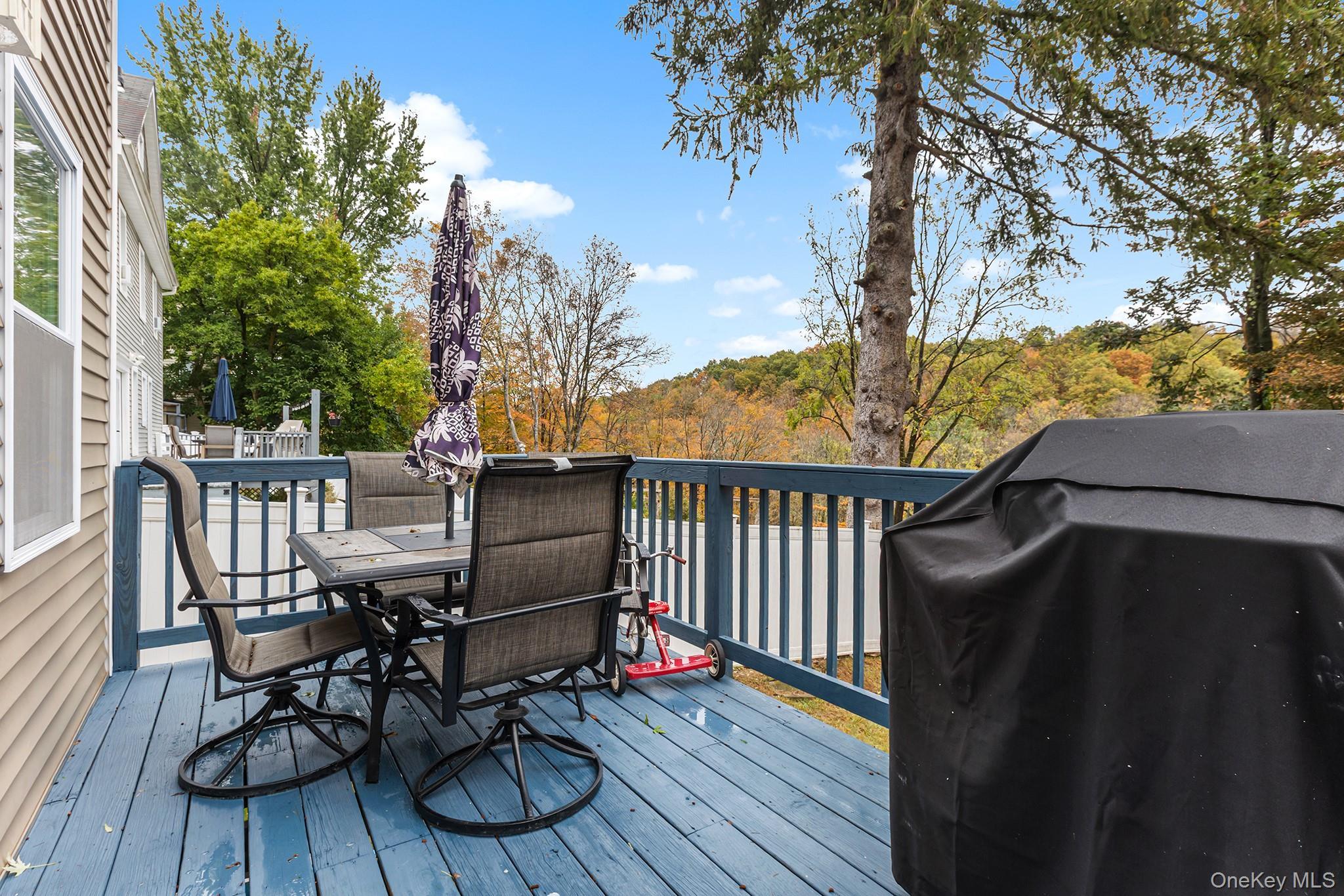 Single Family High Orange County, NY 10988, MLS-922539-23