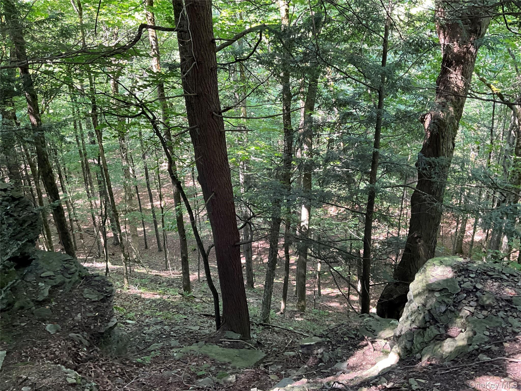 Single Family Button Rd  Out Of Area, NY 13438, MLS-922546-10