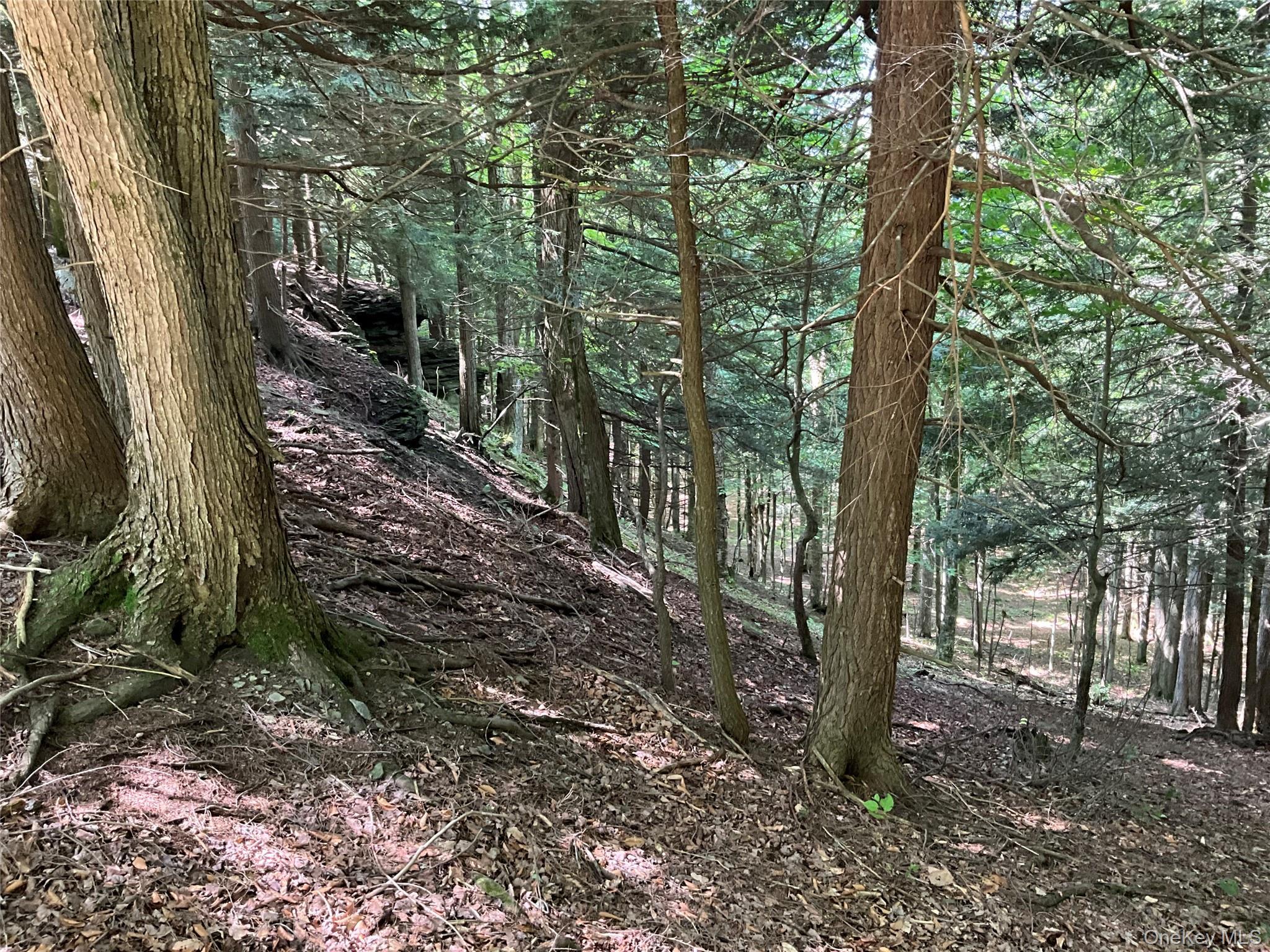 Single Family Button Rd  Out Of Area, NY 13438, MLS-922546-11