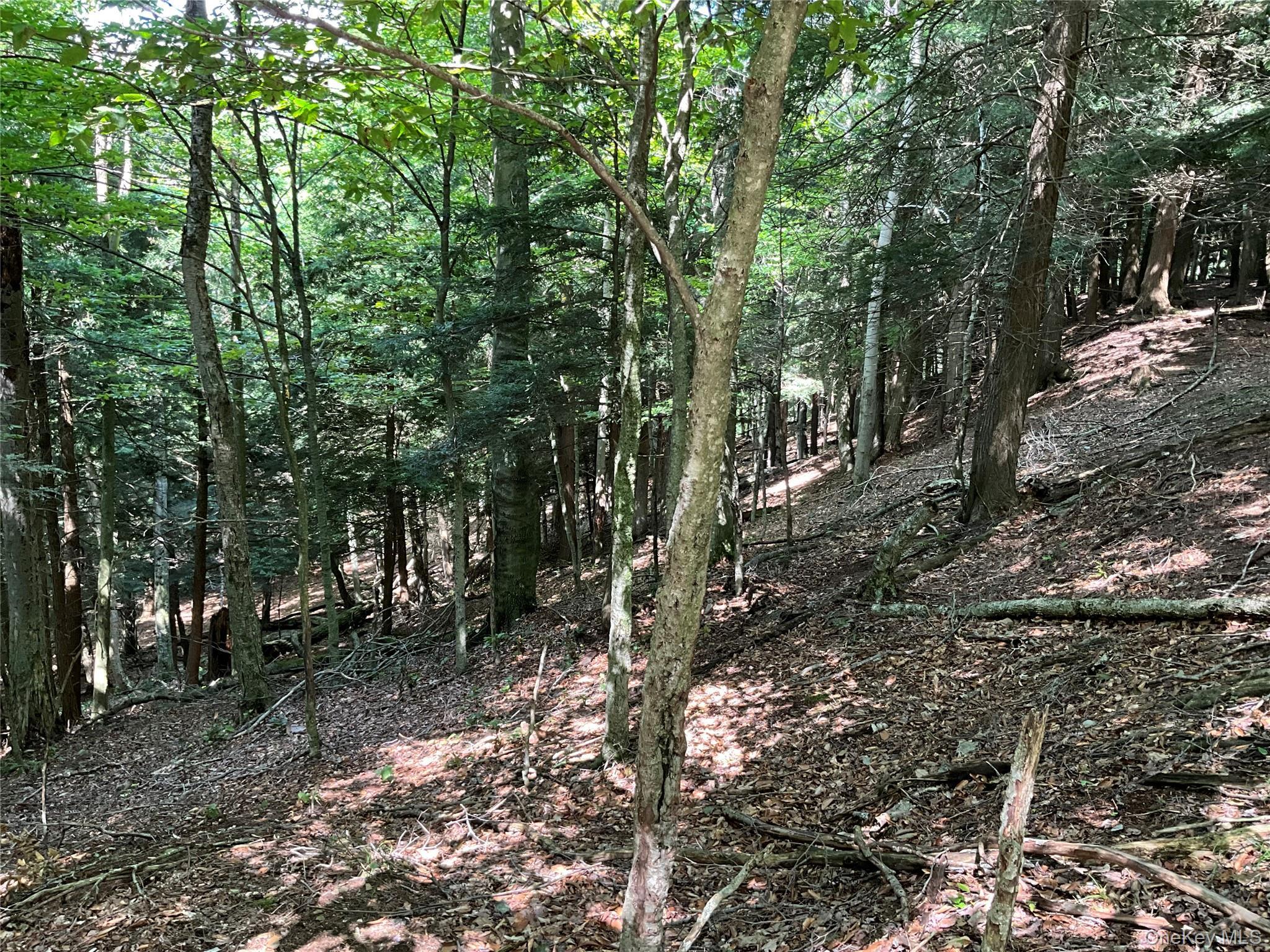Single Family Button Rd  Out Of Area, NY 13438, MLS-922546-12