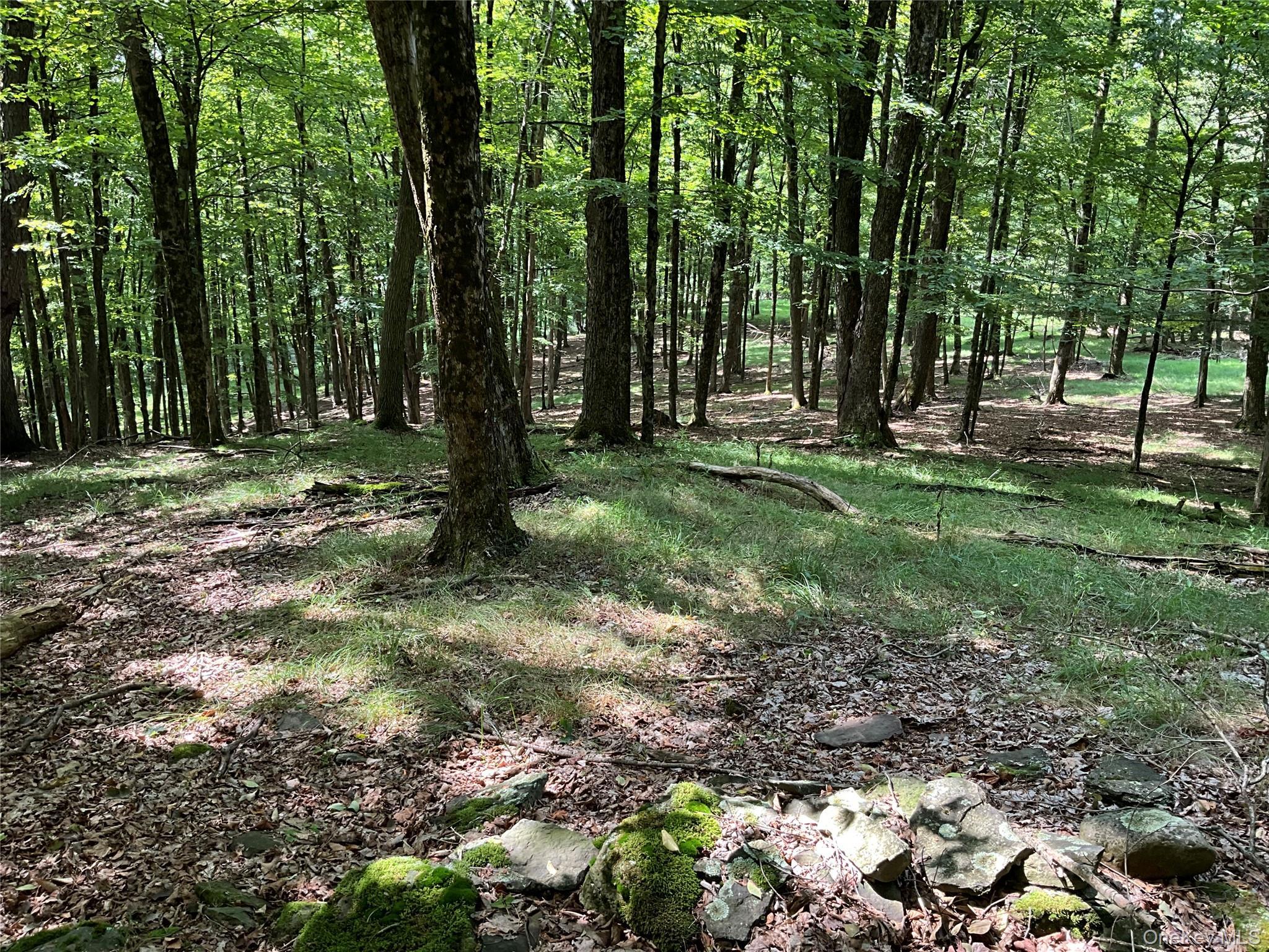 Single Family Button Rd  Out Of Area, NY 13438, MLS-922546-13