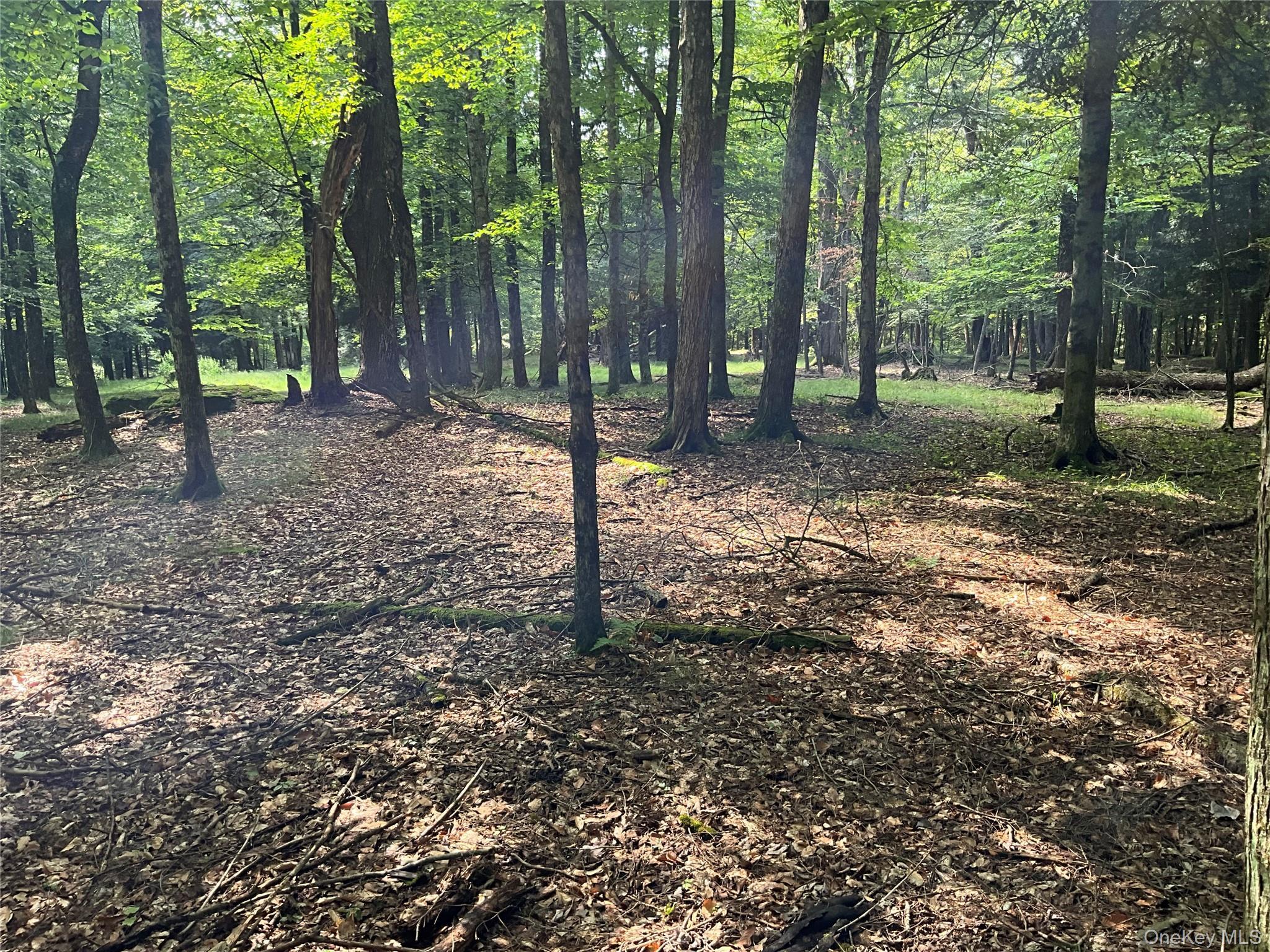 Single Family Button Rd  Out Of Area, NY 13438, MLS-922546-17