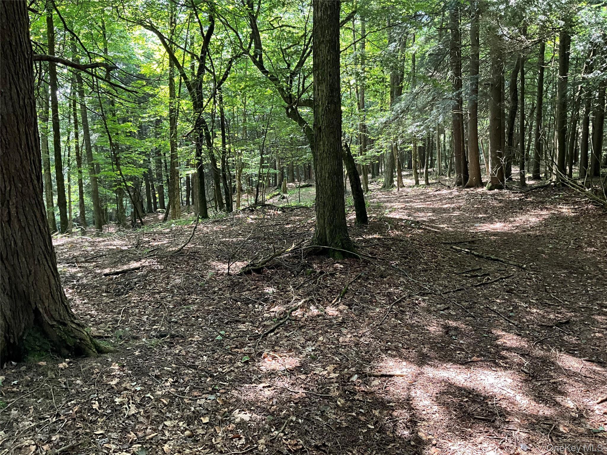 Single Family Button Rd  Out Of Area, NY 13438, MLS-922546-18