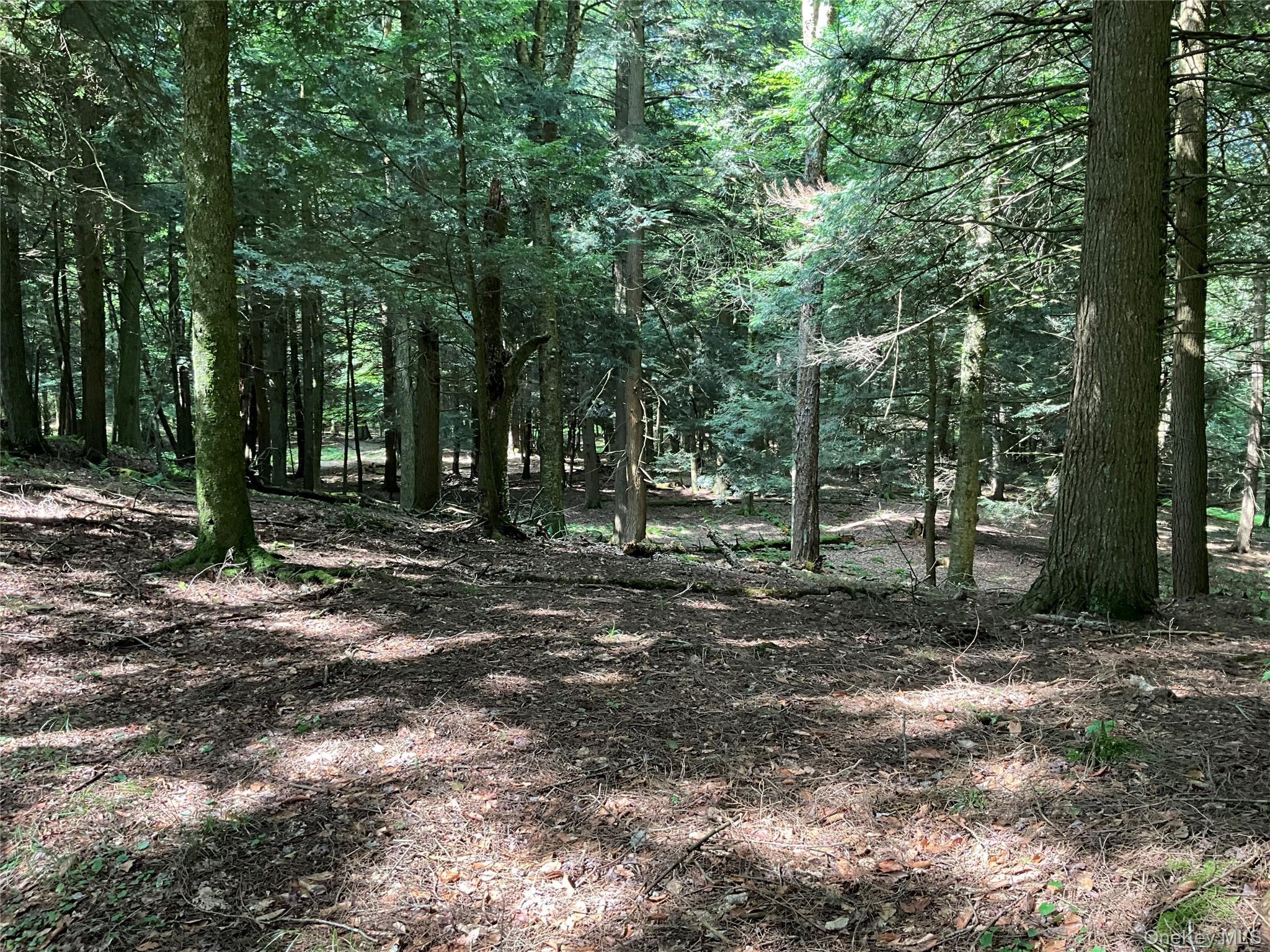 Single Family Button Rd  Out Of Area, NY 13438, MLS-922546-19