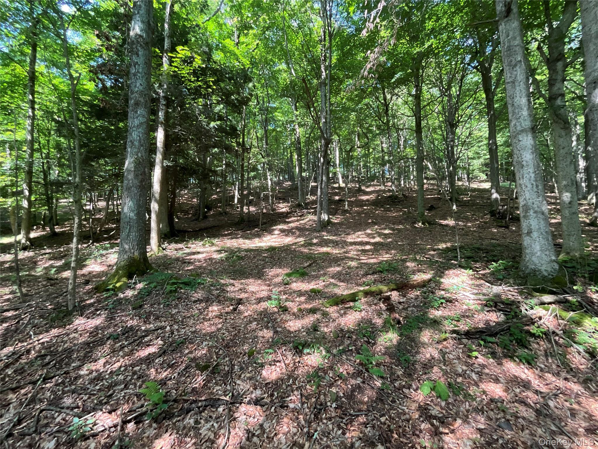 Single Family Button Rd  Out Of Area, NY 13438, MLS-922546-20