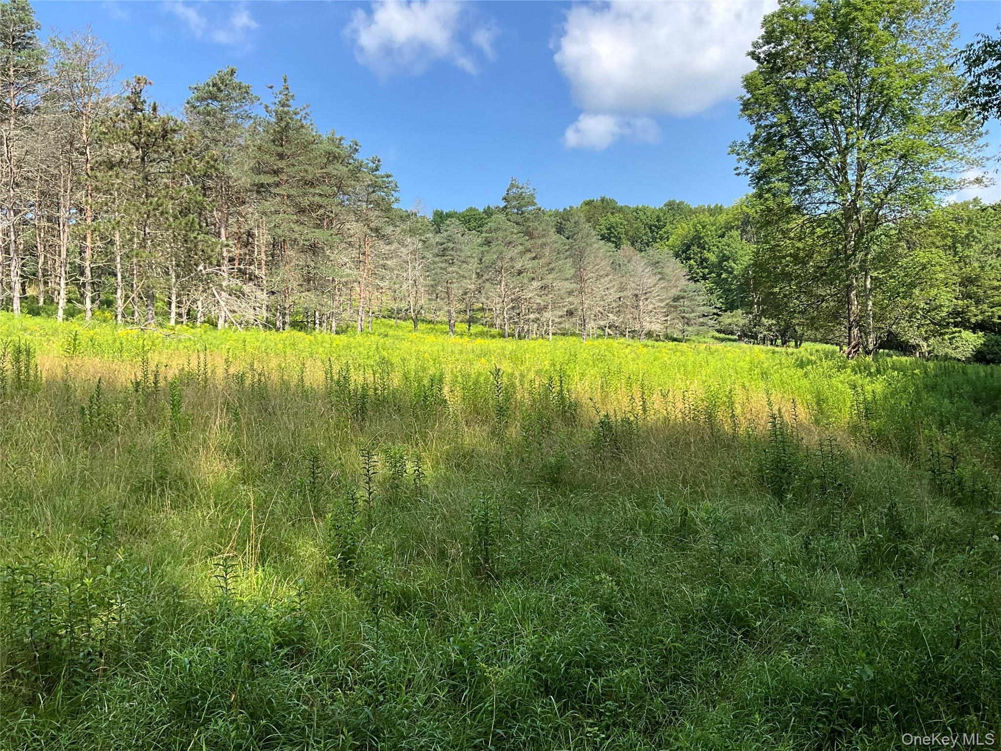 Single Family Button Rd  Out Of Area, NY 13438, MLS-922546-21