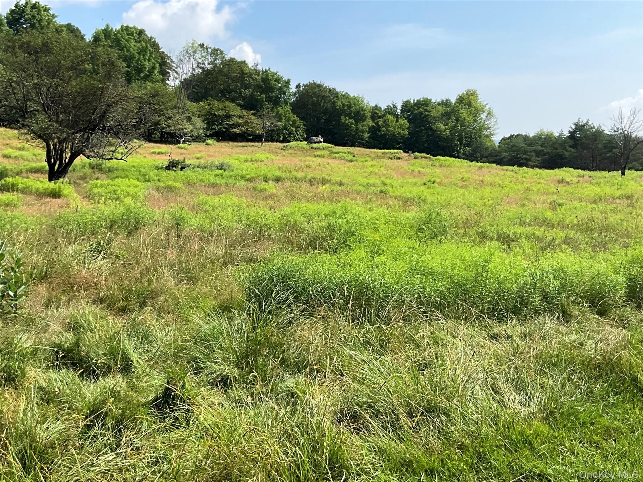 Single Family Button Rd  Out Of Area, NY 13438, MLS-922546-22