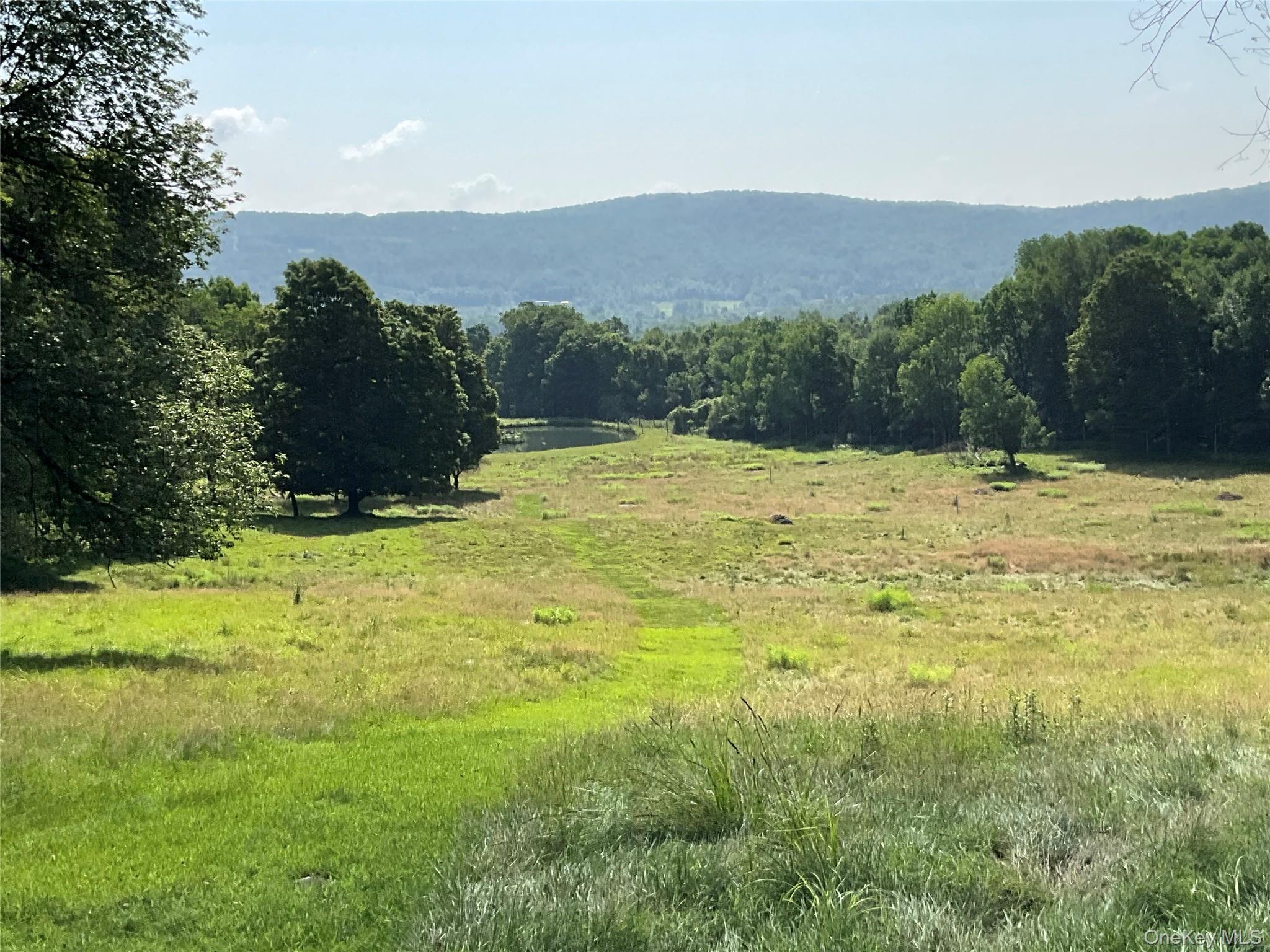 Single Family Button Rd  Out Of Area, NY 13438, MLS-922546-23