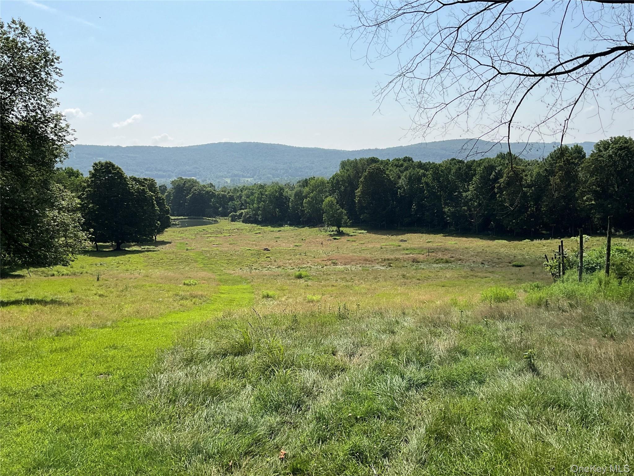 Single Family Button Rd  Out Of Area, NY 13438, MLS-922546-24