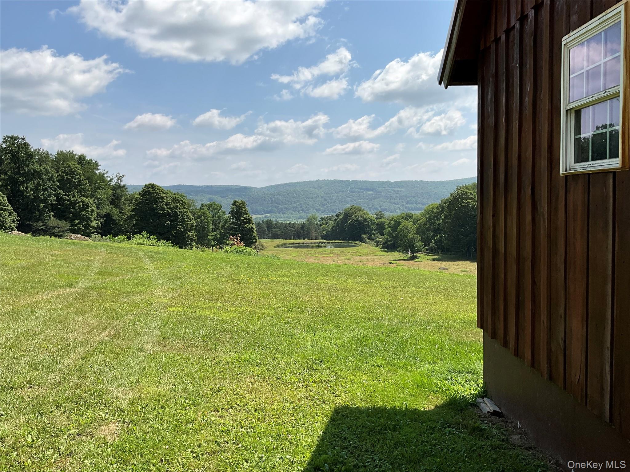 Single Family Button Rd  Out Of Area, NY 13438, MLS-922546-4