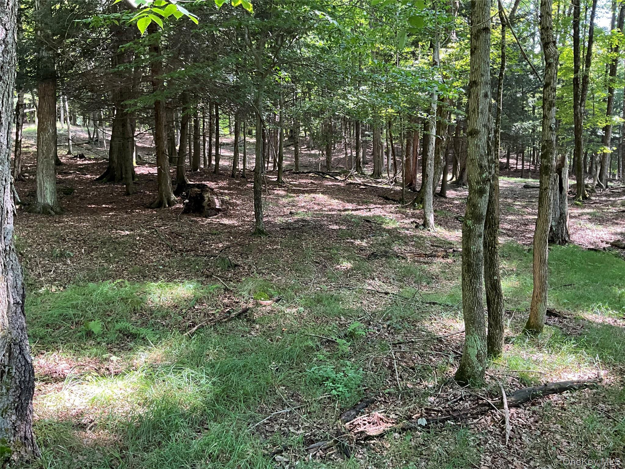 Single Family Button Rd  Out Of Area, NY 13438, MLS-922546-6