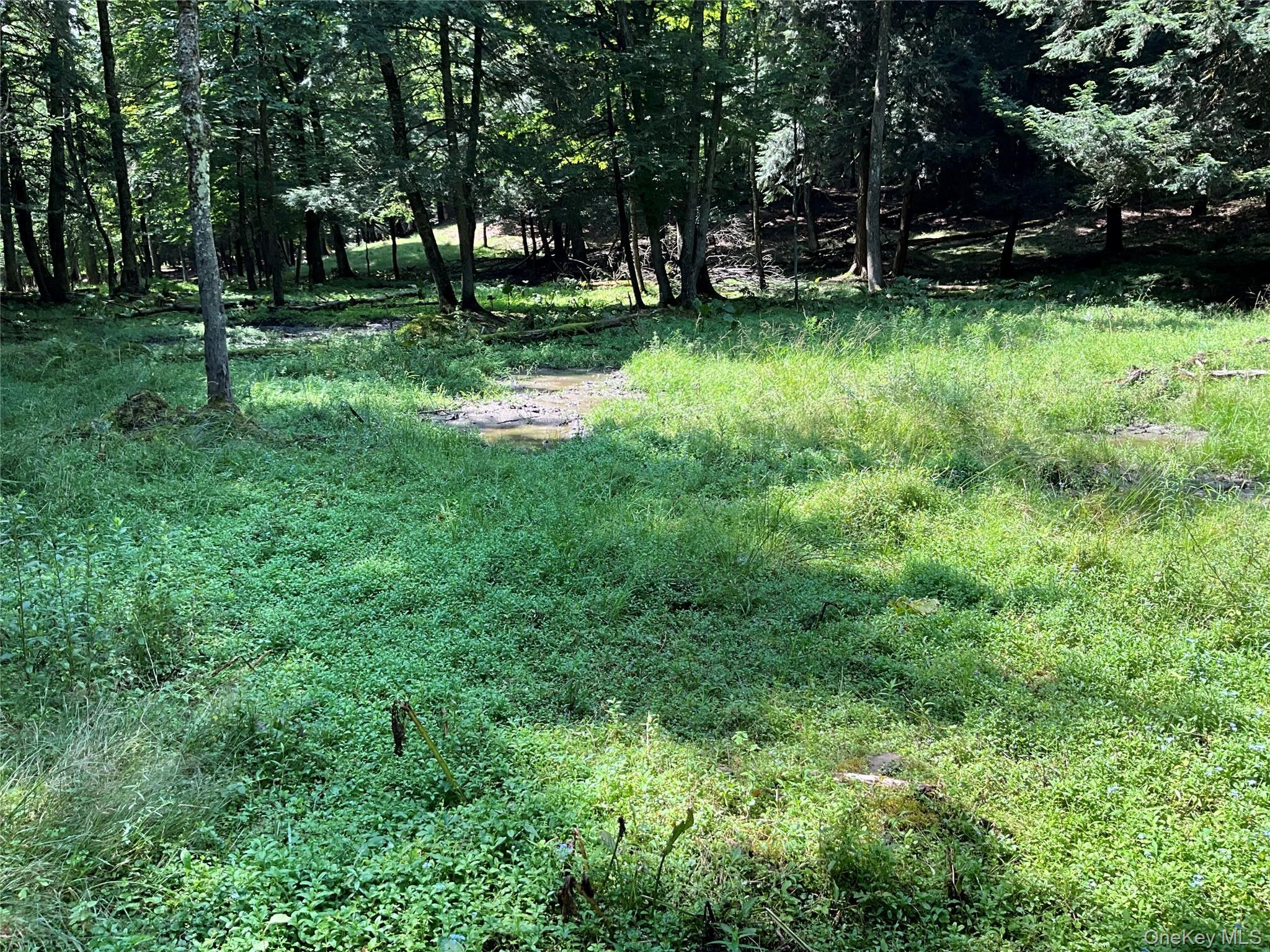 Single Family Button Rd  Out Of Area, NY 13438, MLS-922546-7