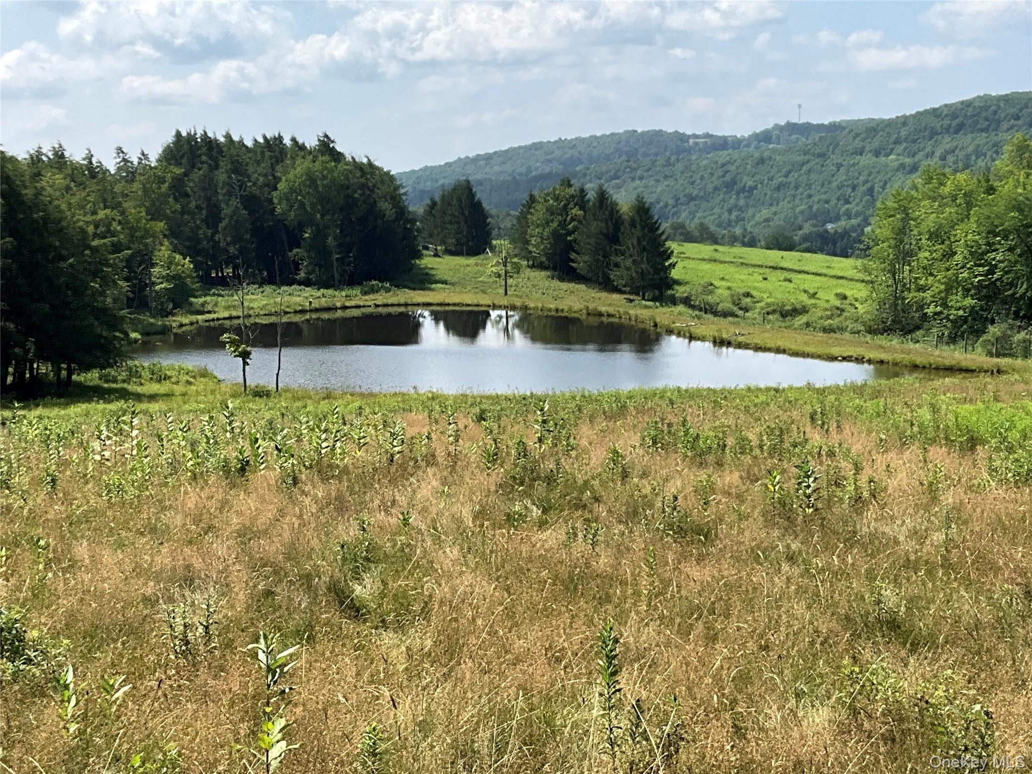 Single Family Button Rd  Out Of Area, NY 13438, MLS-922546-8