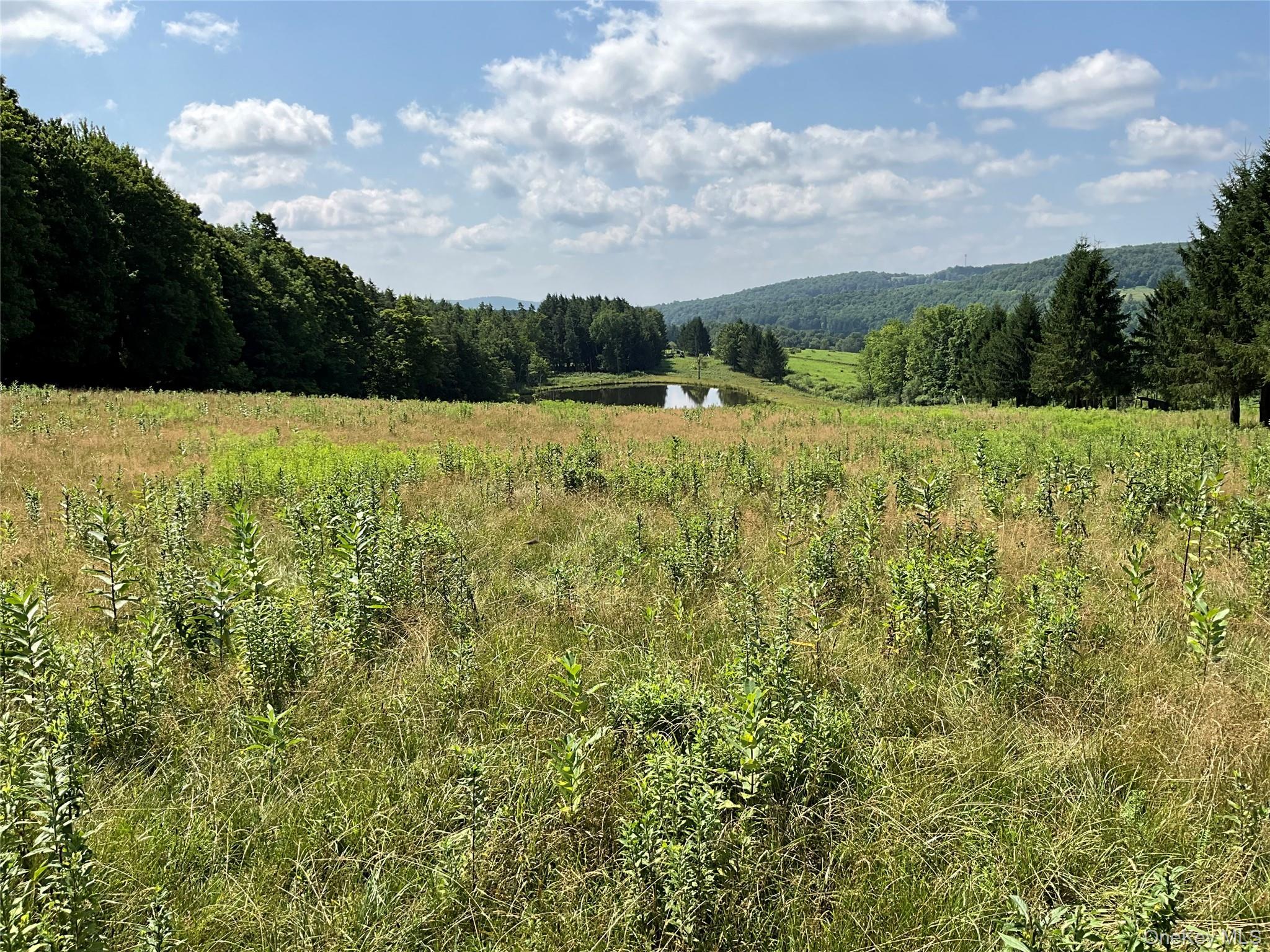 Single Family Button Rd  Out Of Area, NY 13438, MLS-922546-9