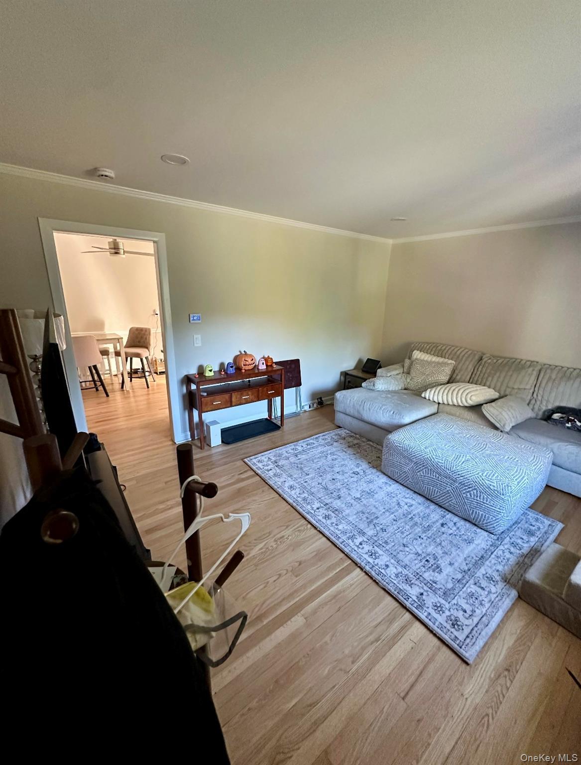 Single Family Hudsonview Westchester County, NY 10547, MLS-922603-12