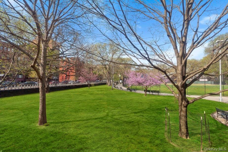 Coop Madison Avenue Manhattan, NY 10035, MLS-922666-15