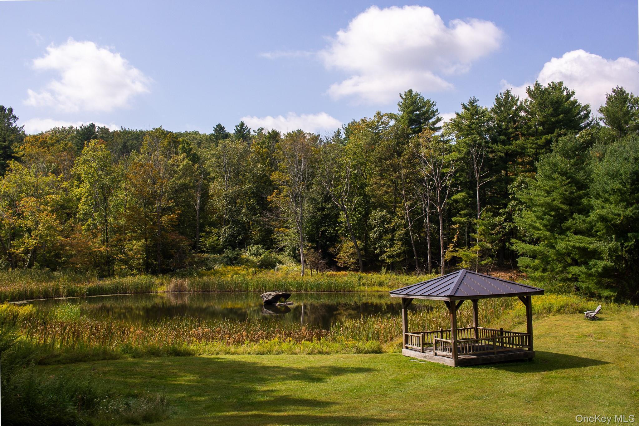 Single Family Jilroy Columbia County, NY 12165, MLS-922704-3