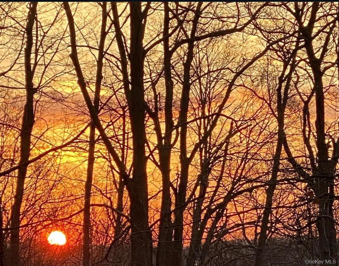 Single Family Ridgeview Dutchess County, NY 12603, MLS-922716-45