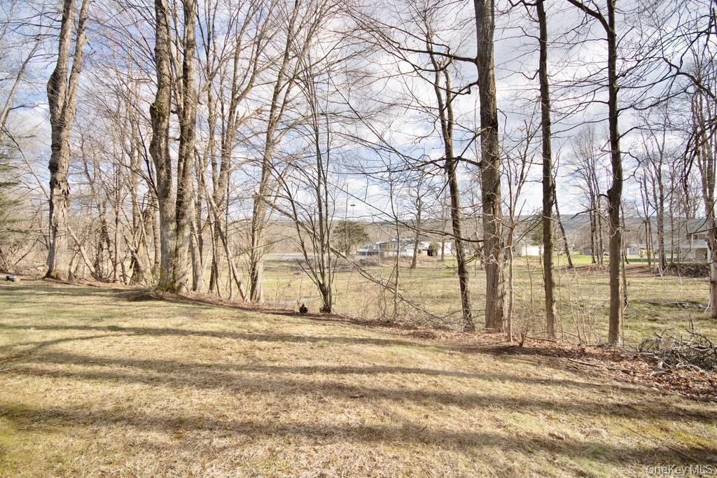 Single Family Carlo  Ulster County, NY 12446, MLS-922754-21