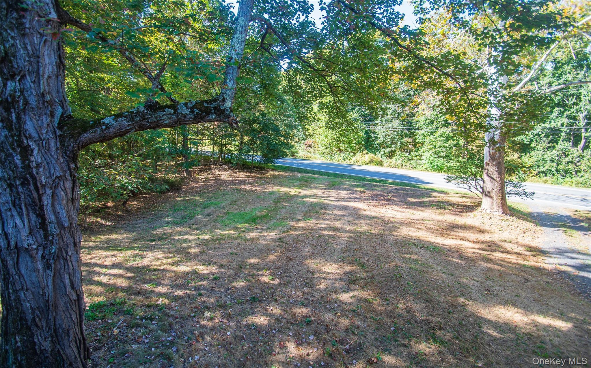 Single Family Phillips Dutchess County, NY 12603, MLS-922784-5