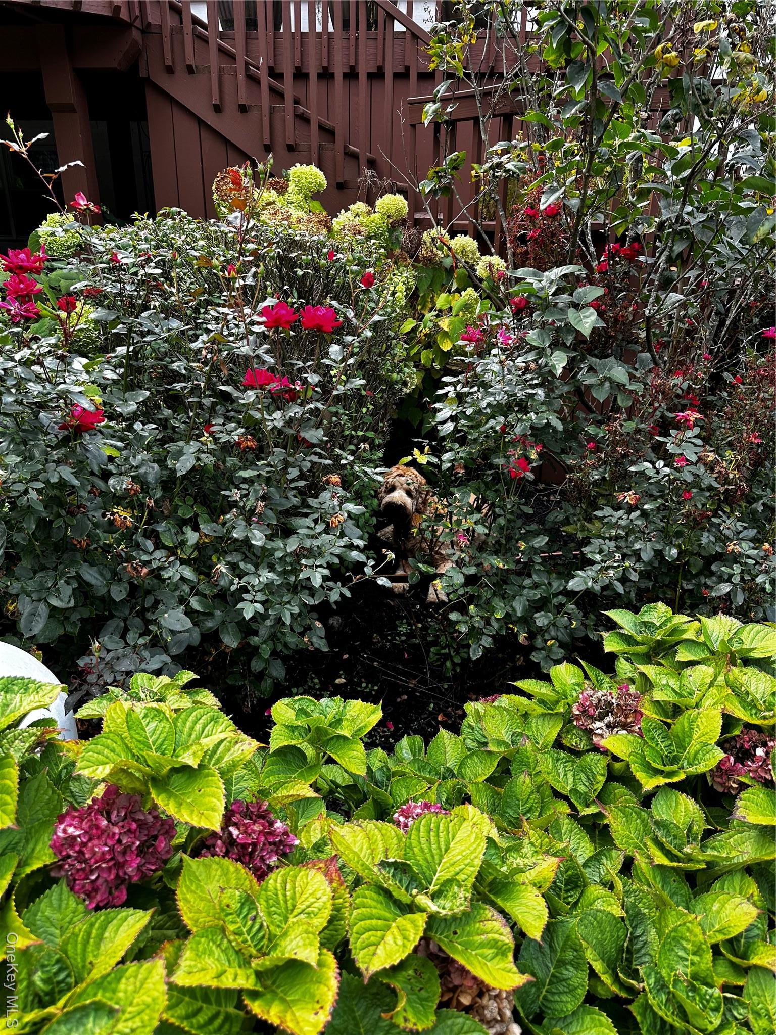 Single Family Eunice  Westchester County, NY 10594, MLS-922786-34