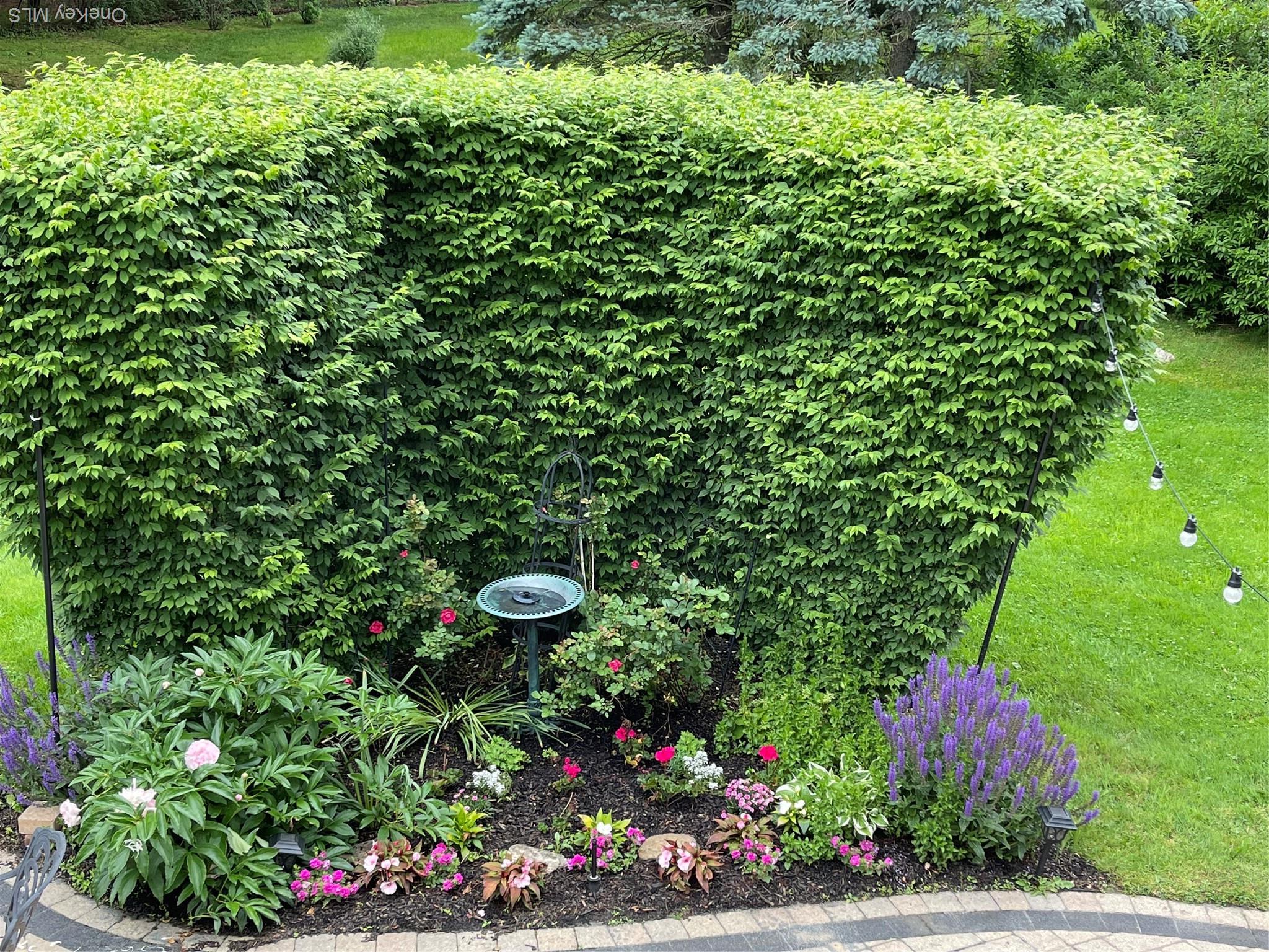 Single Family Eunice  Westchester County, NY 10594, MLS-922786-36