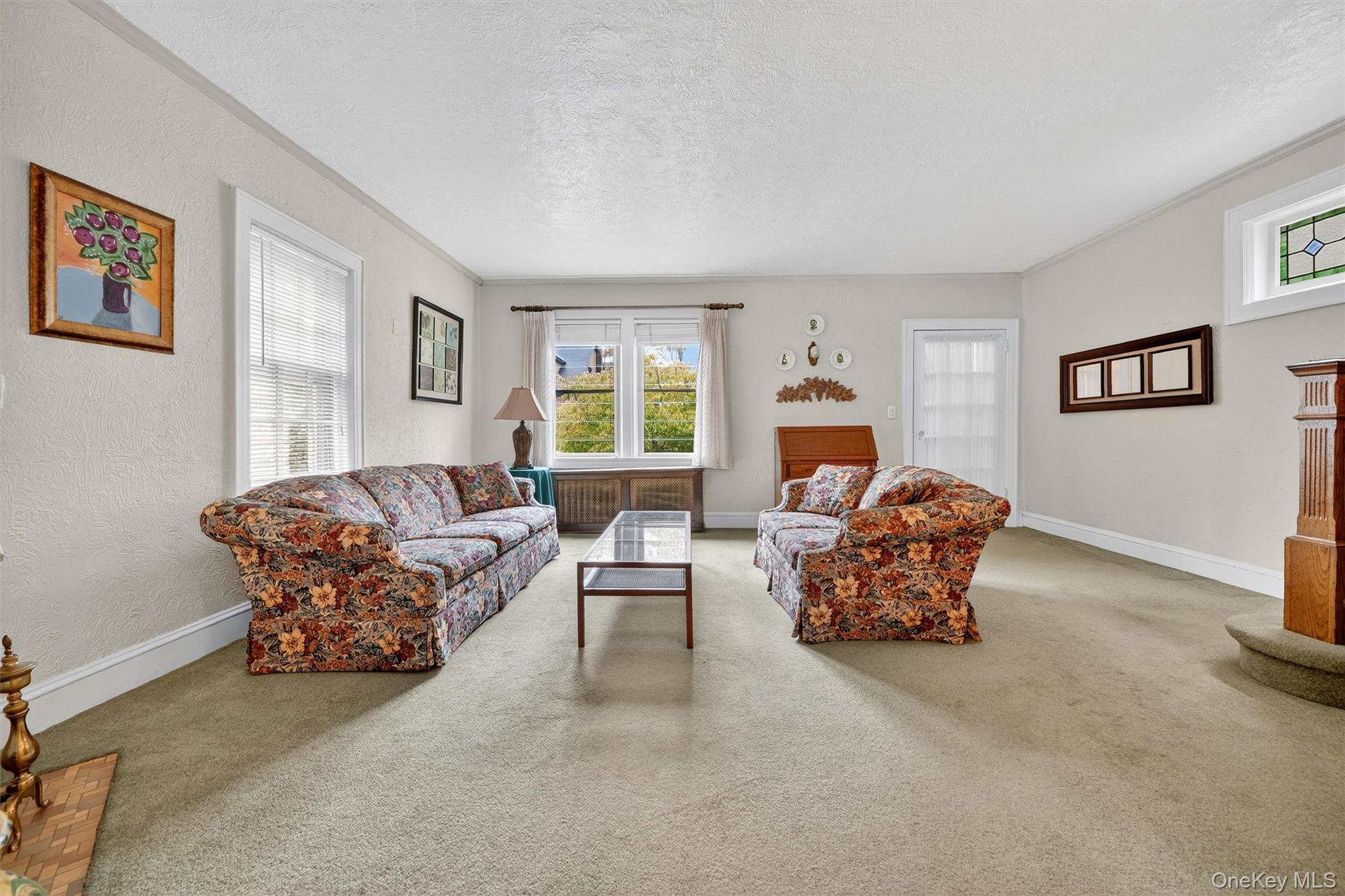 Single Family Halstead  Westchester County, NY 10704, MLS-922791-10