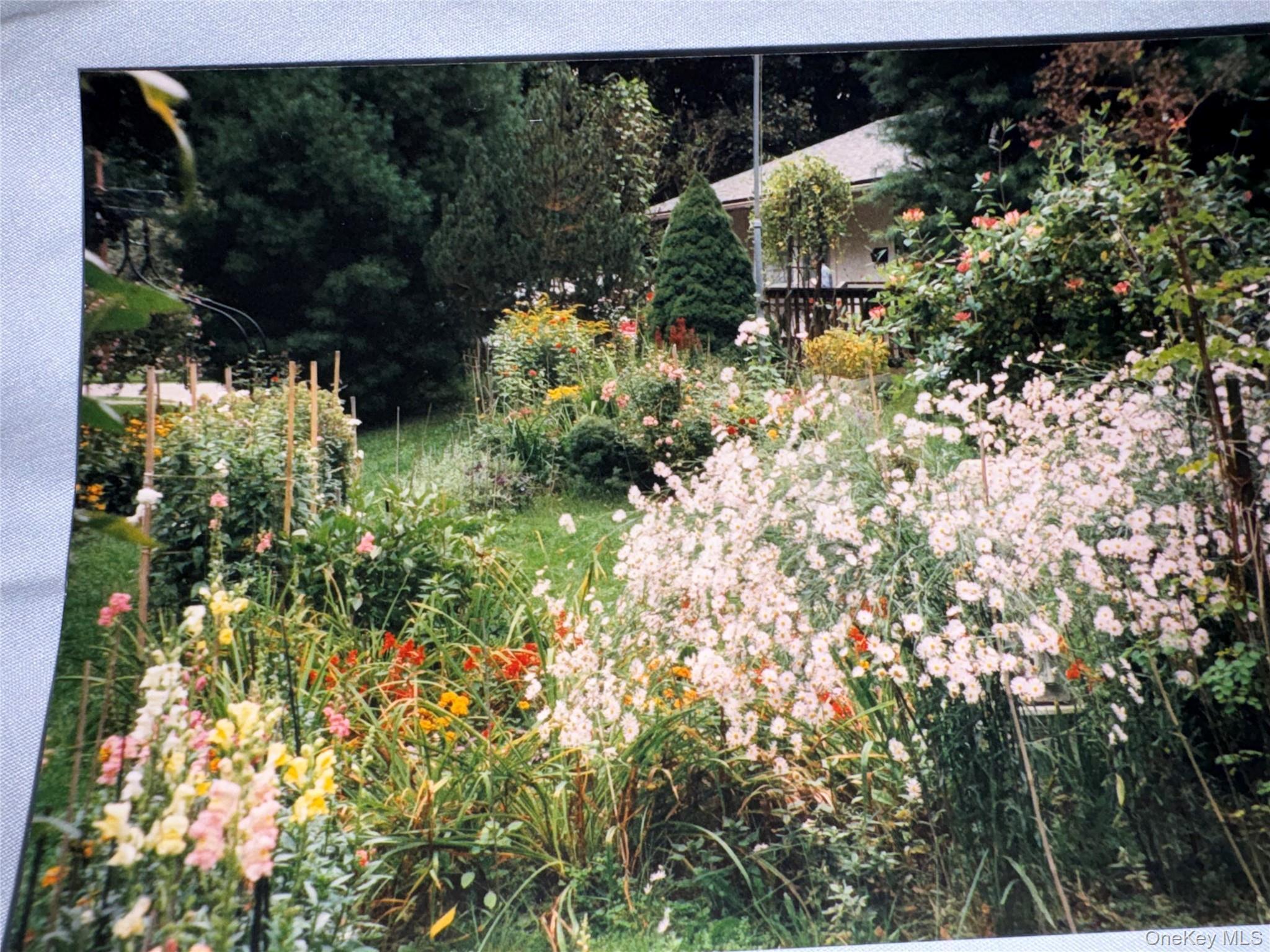 Single Family Townsend  Dutchess County, NY 12564, MLS-922875-25